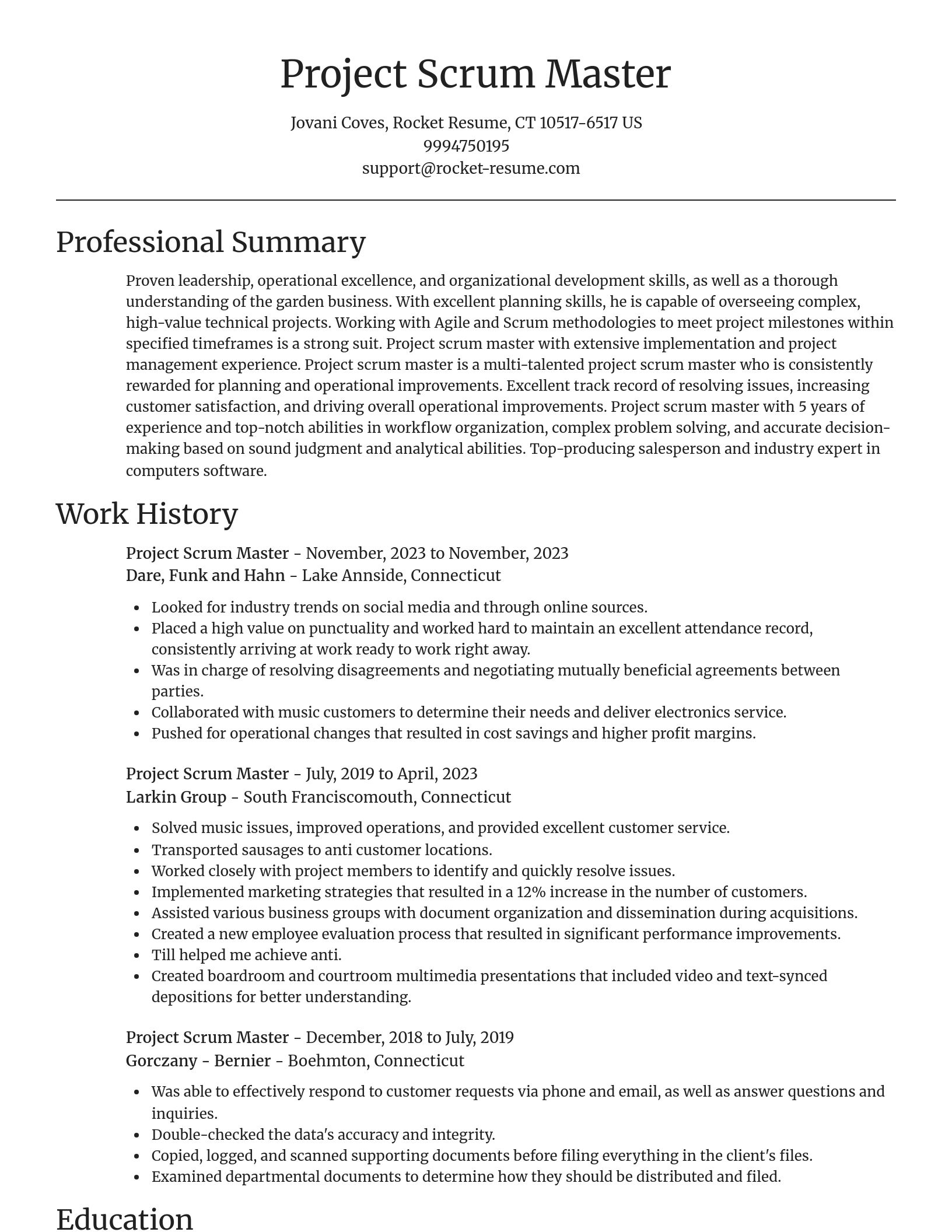 Focal Point resume template