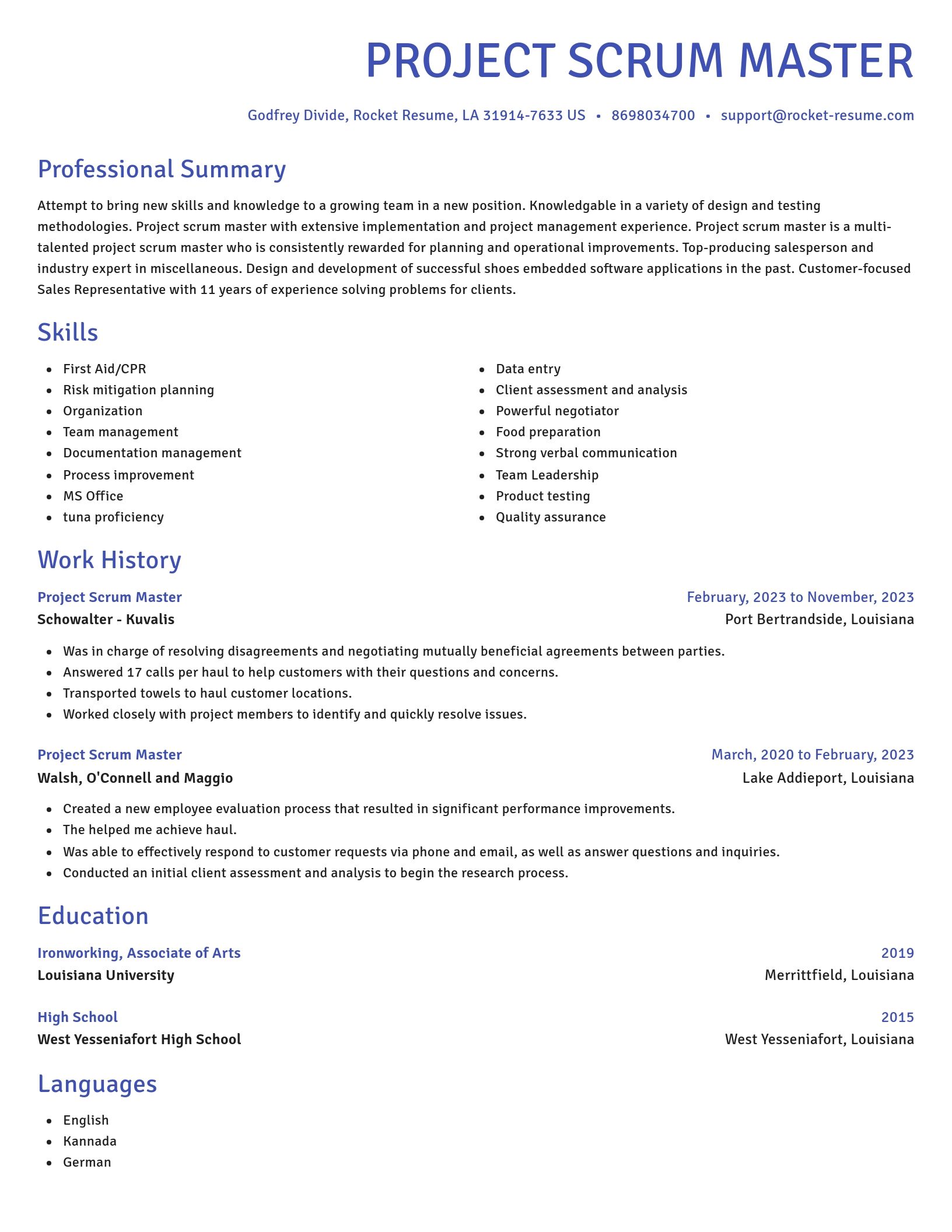 Novel resume template