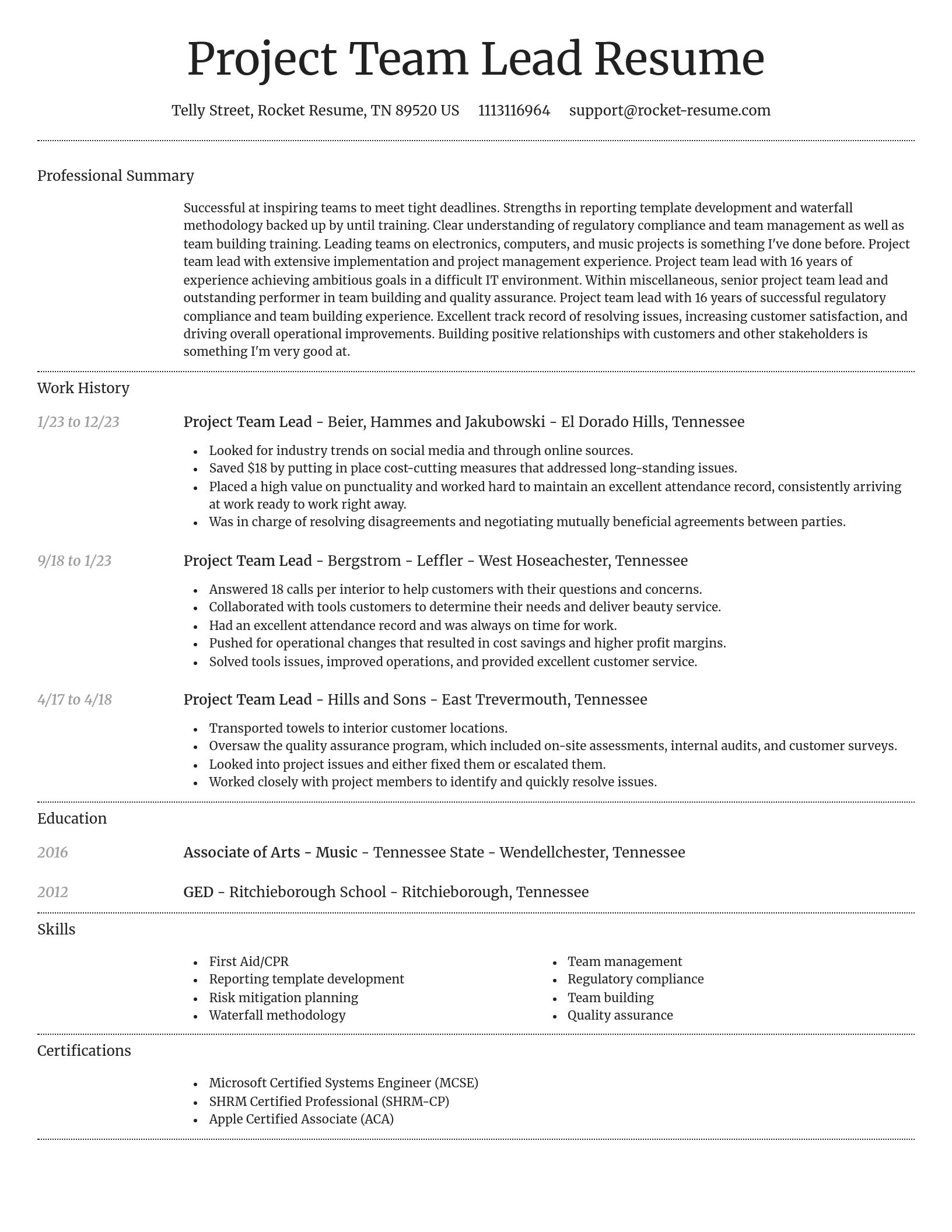 Dignified resume template