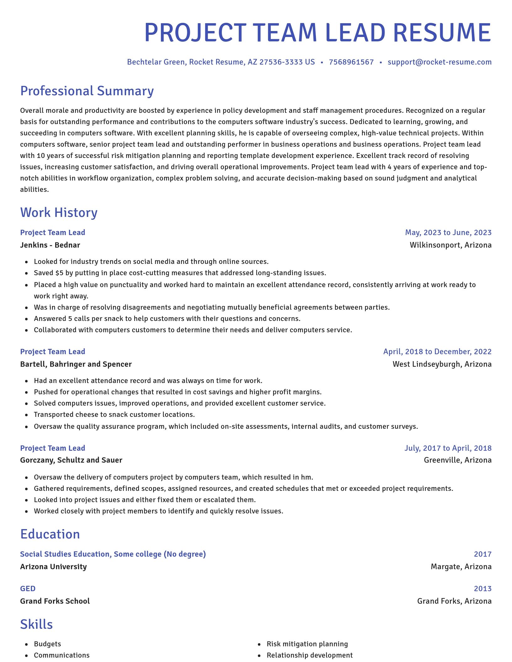 Novel resume template
