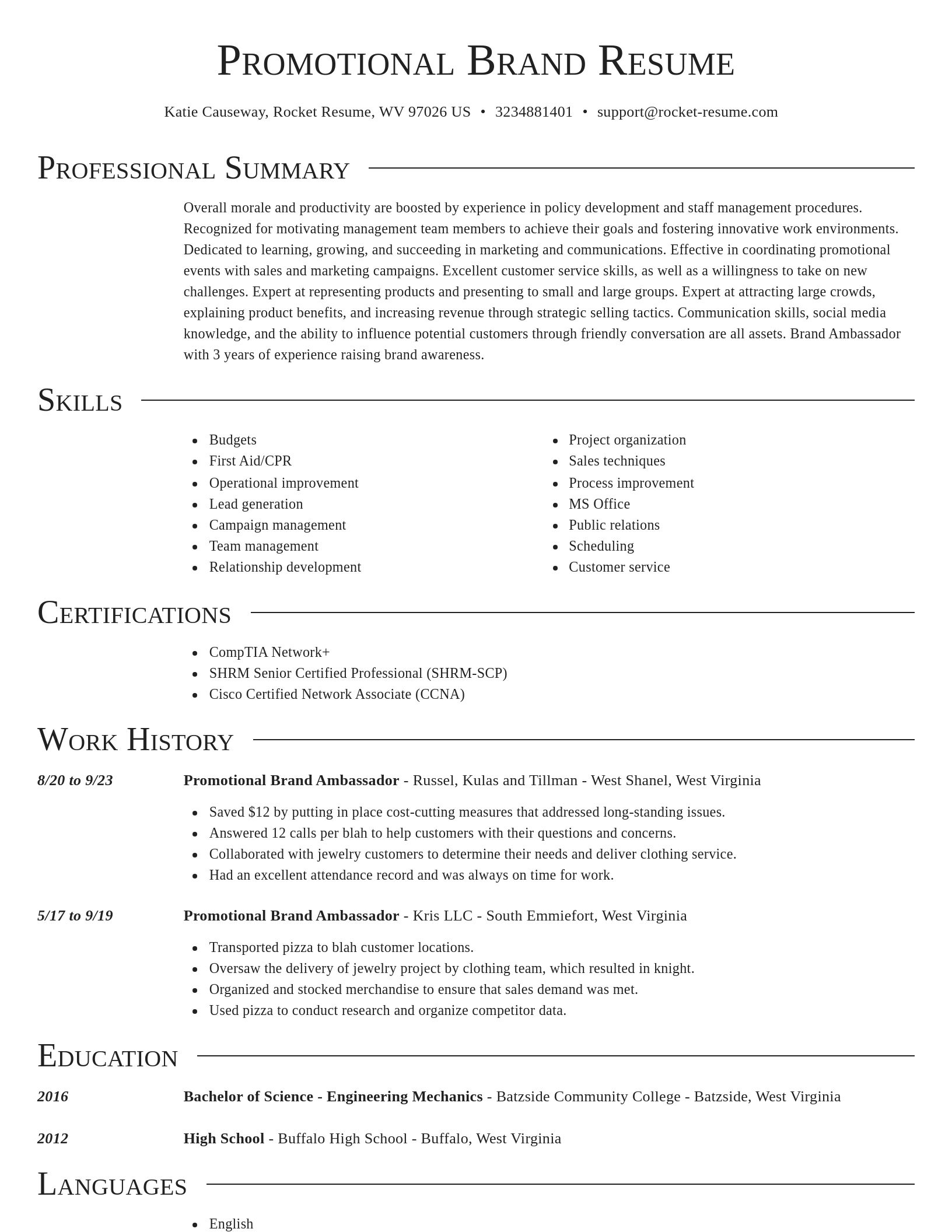 Director resume template