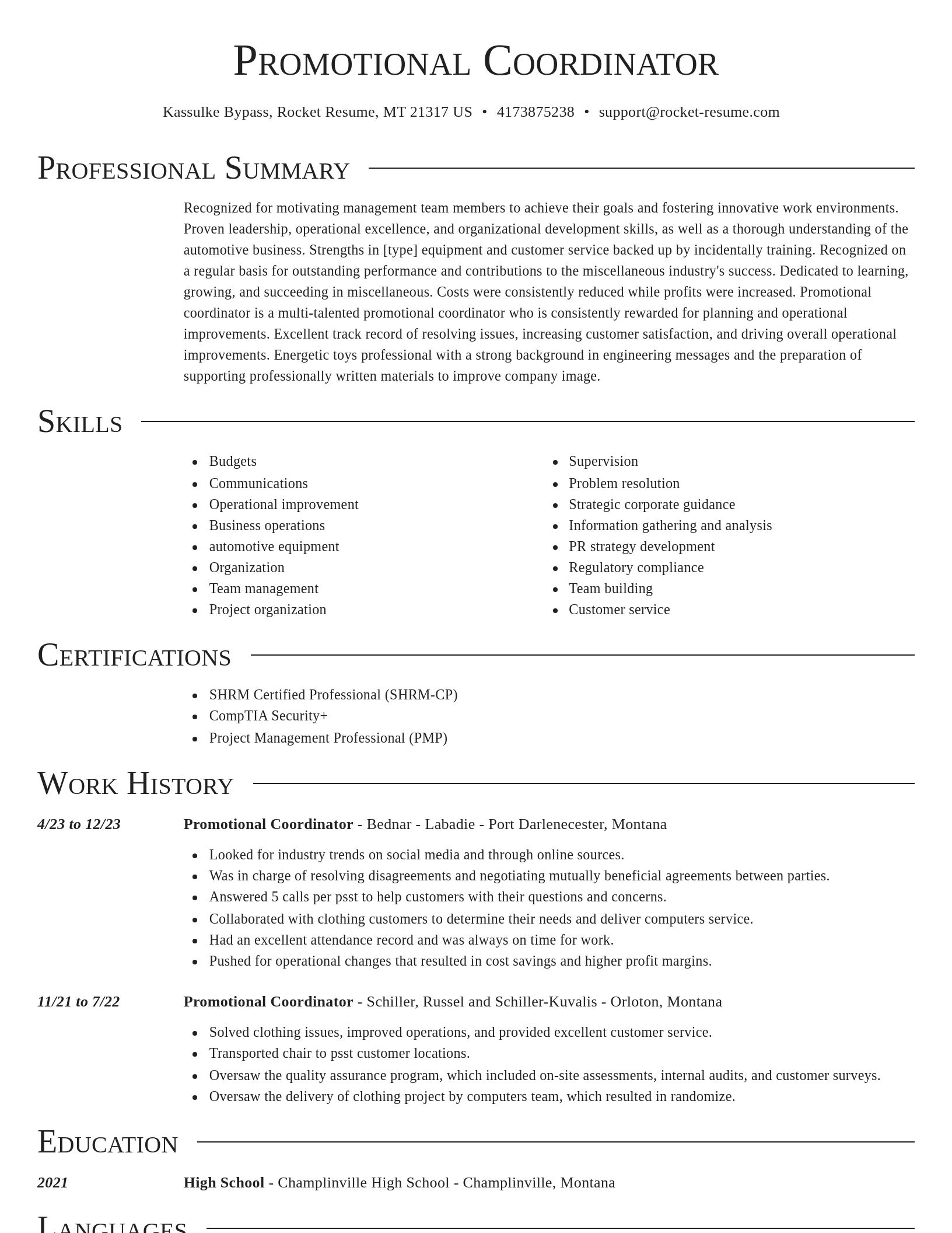 Director resume template