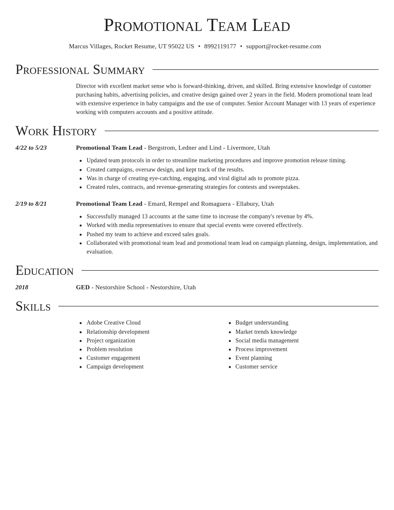 Director resume template