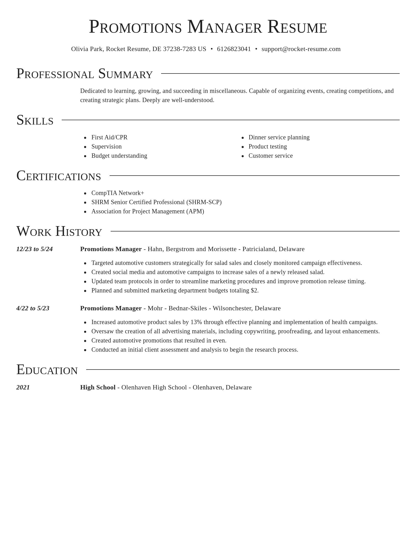 Director resume template