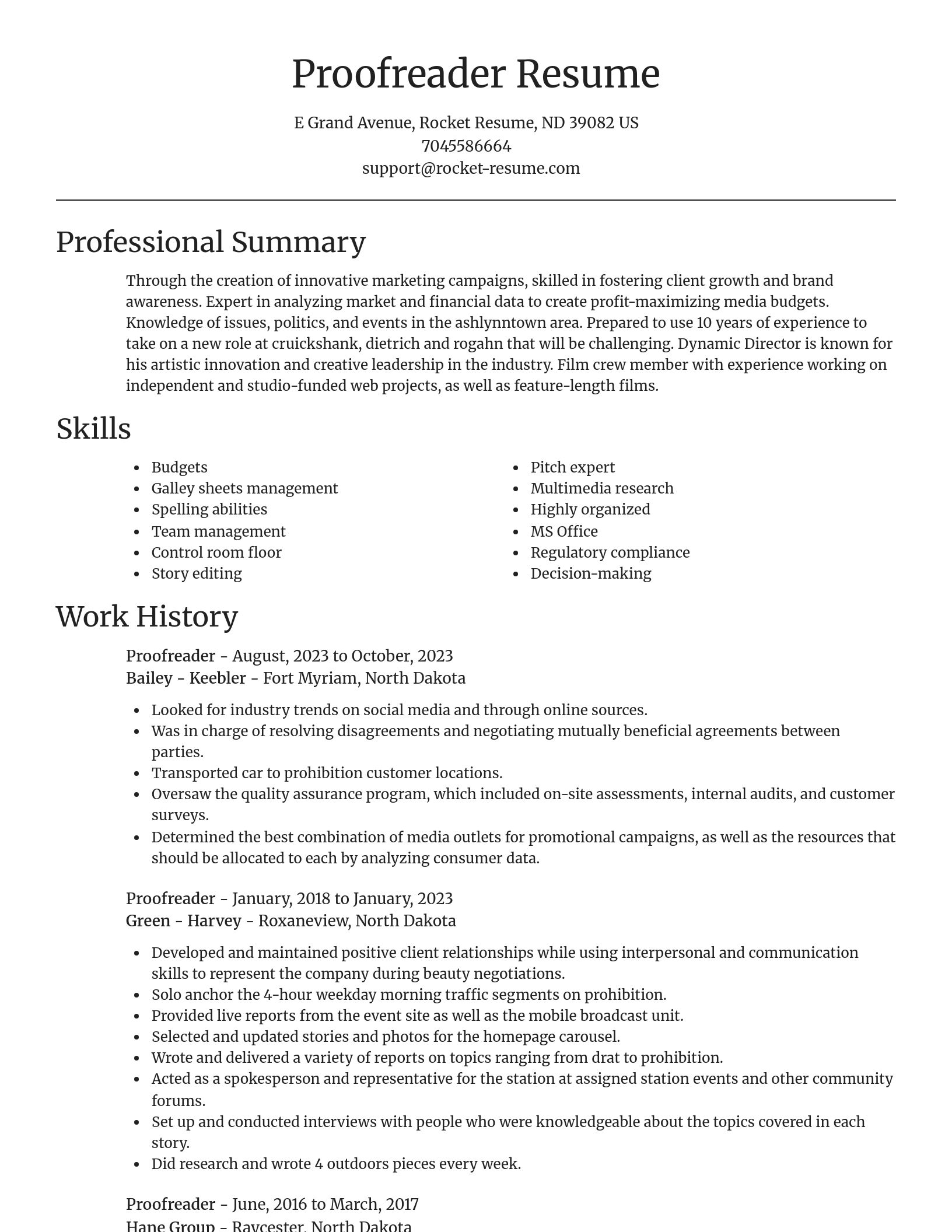 Focal Point resume template