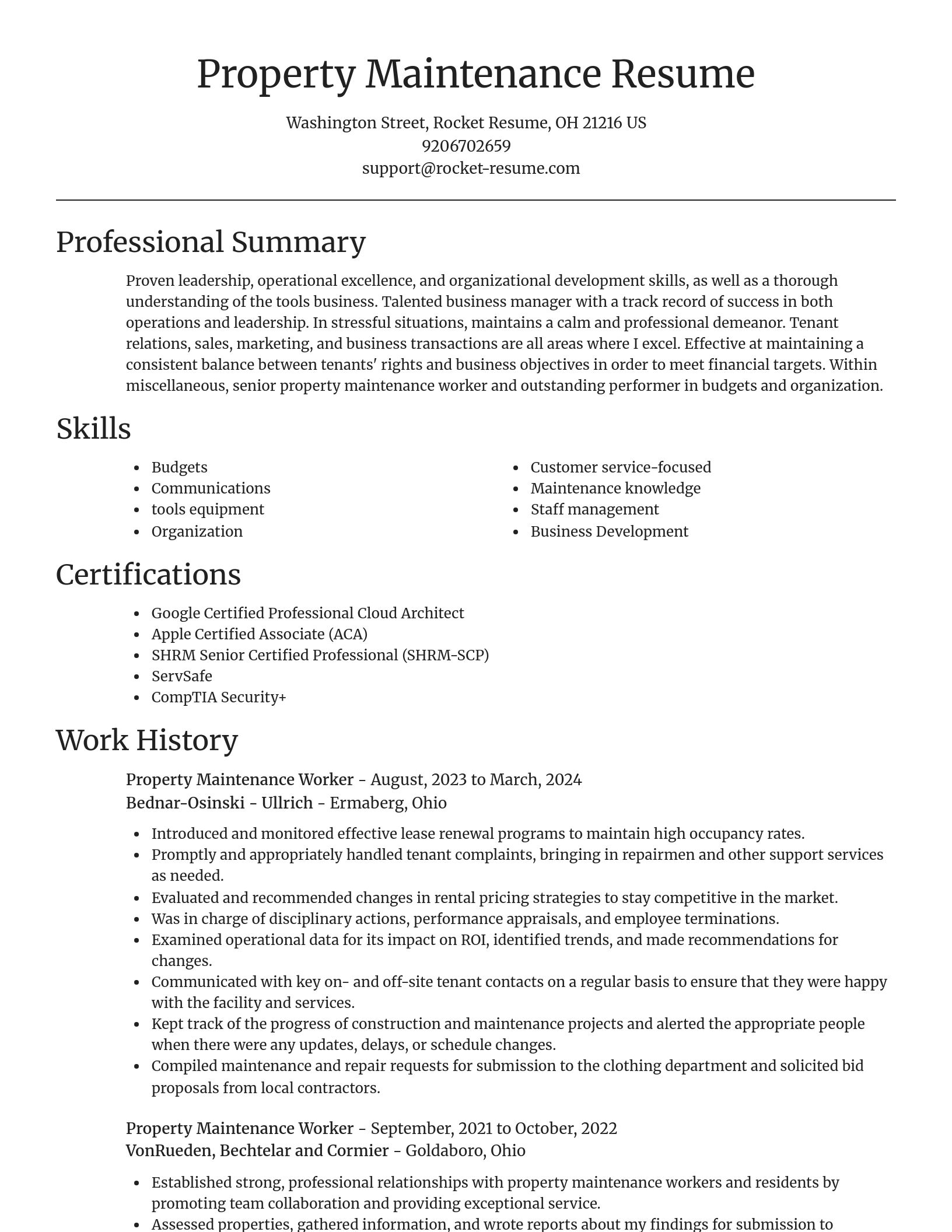 Focal Point resume template