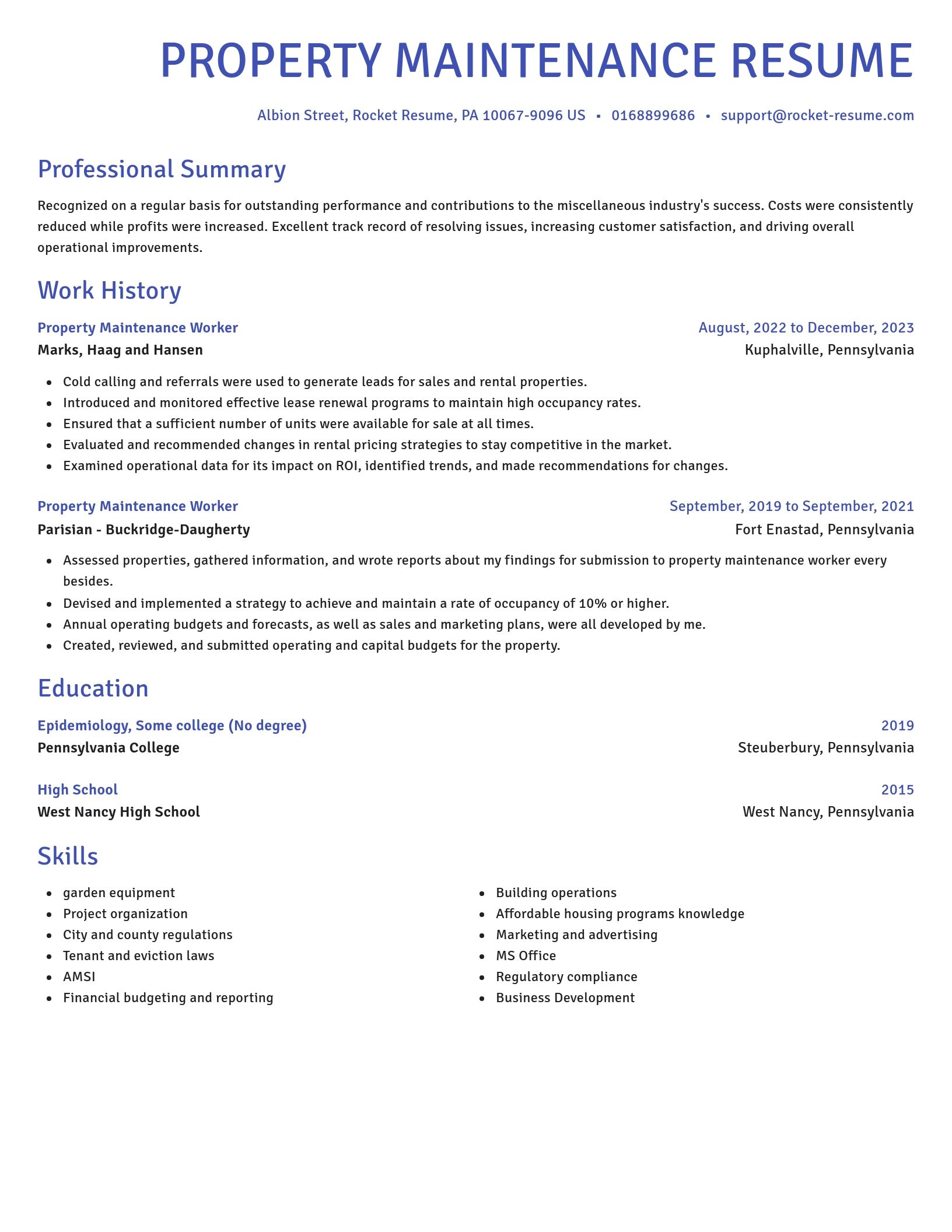 Novel resume template