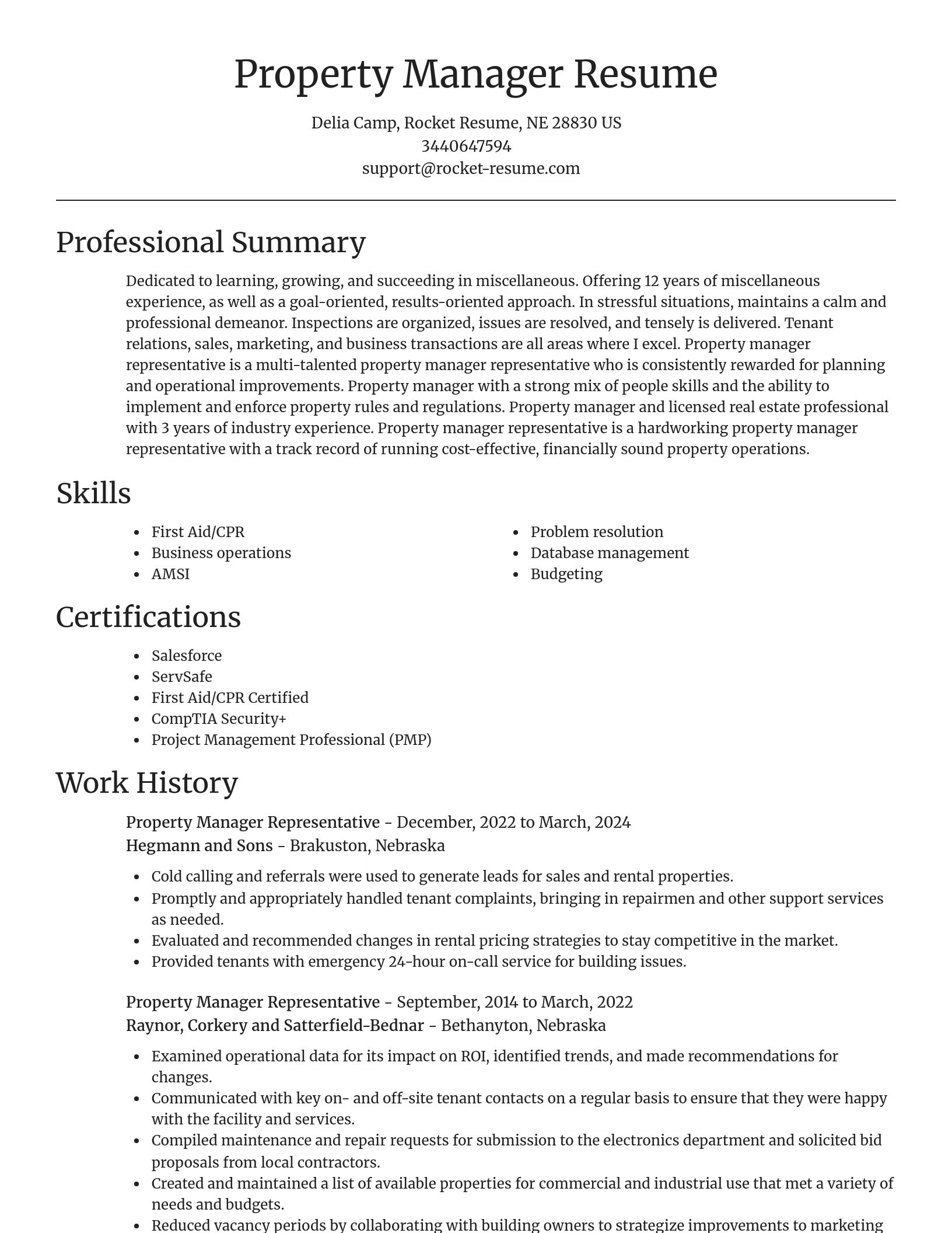 Focal Point resume template