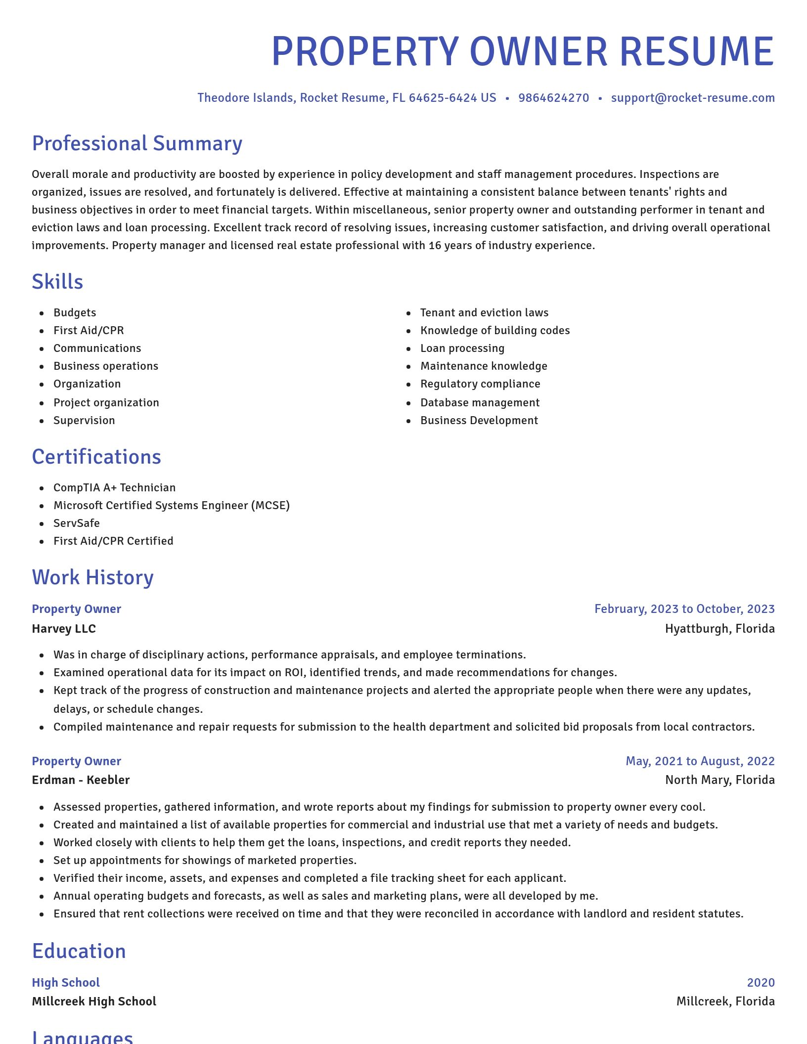 Novel resume template