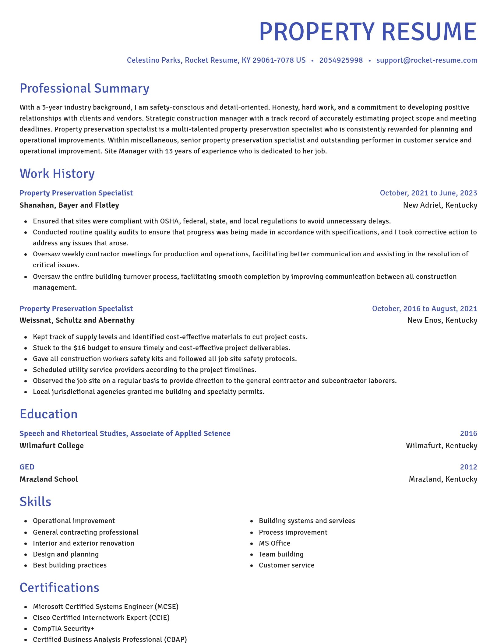 Novel resume template