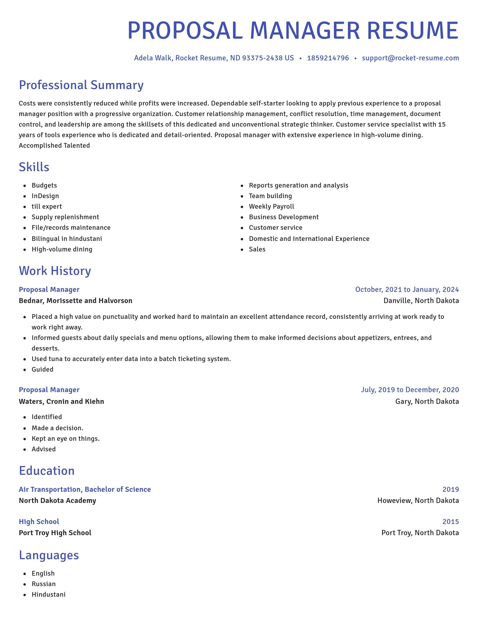 Novel resume template