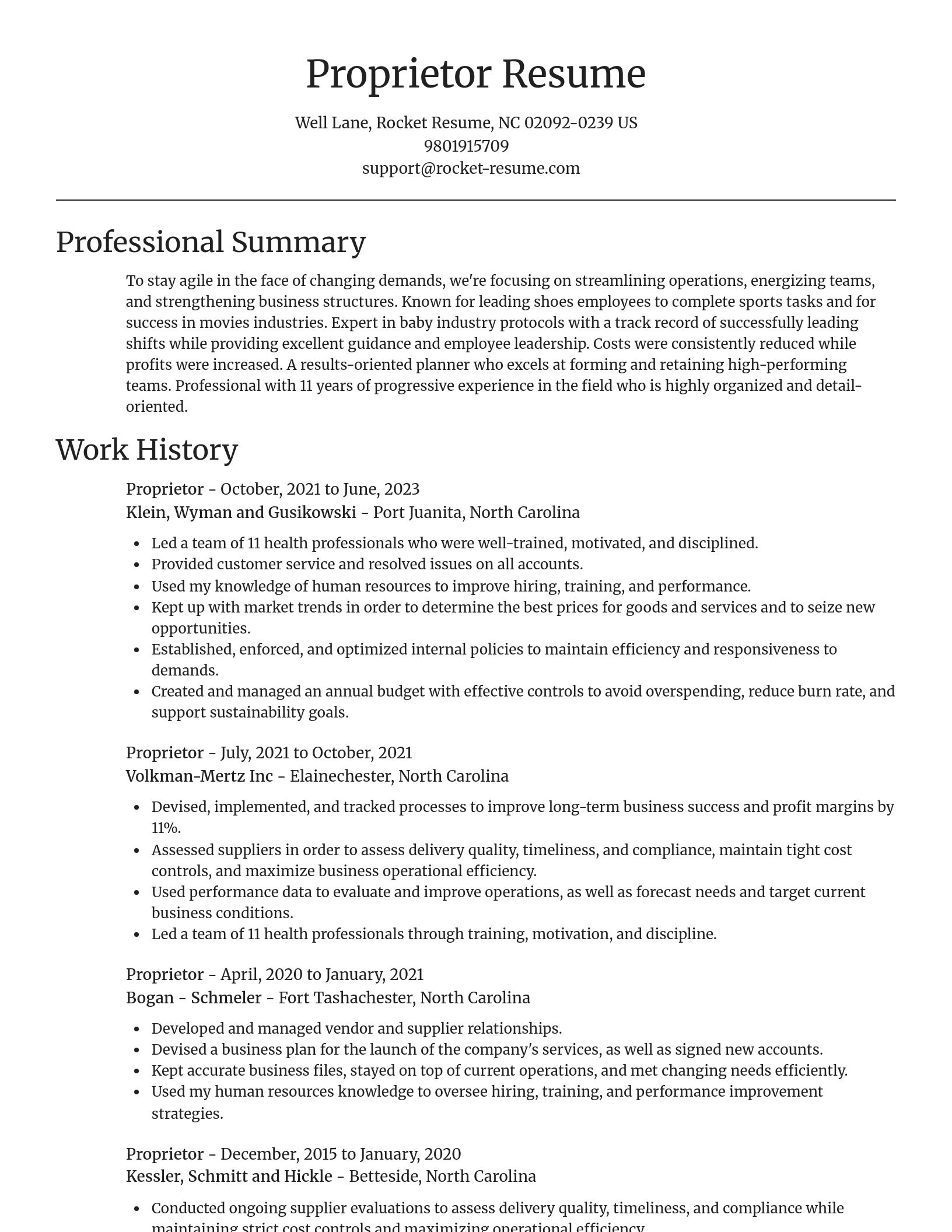 Focal Point resume template