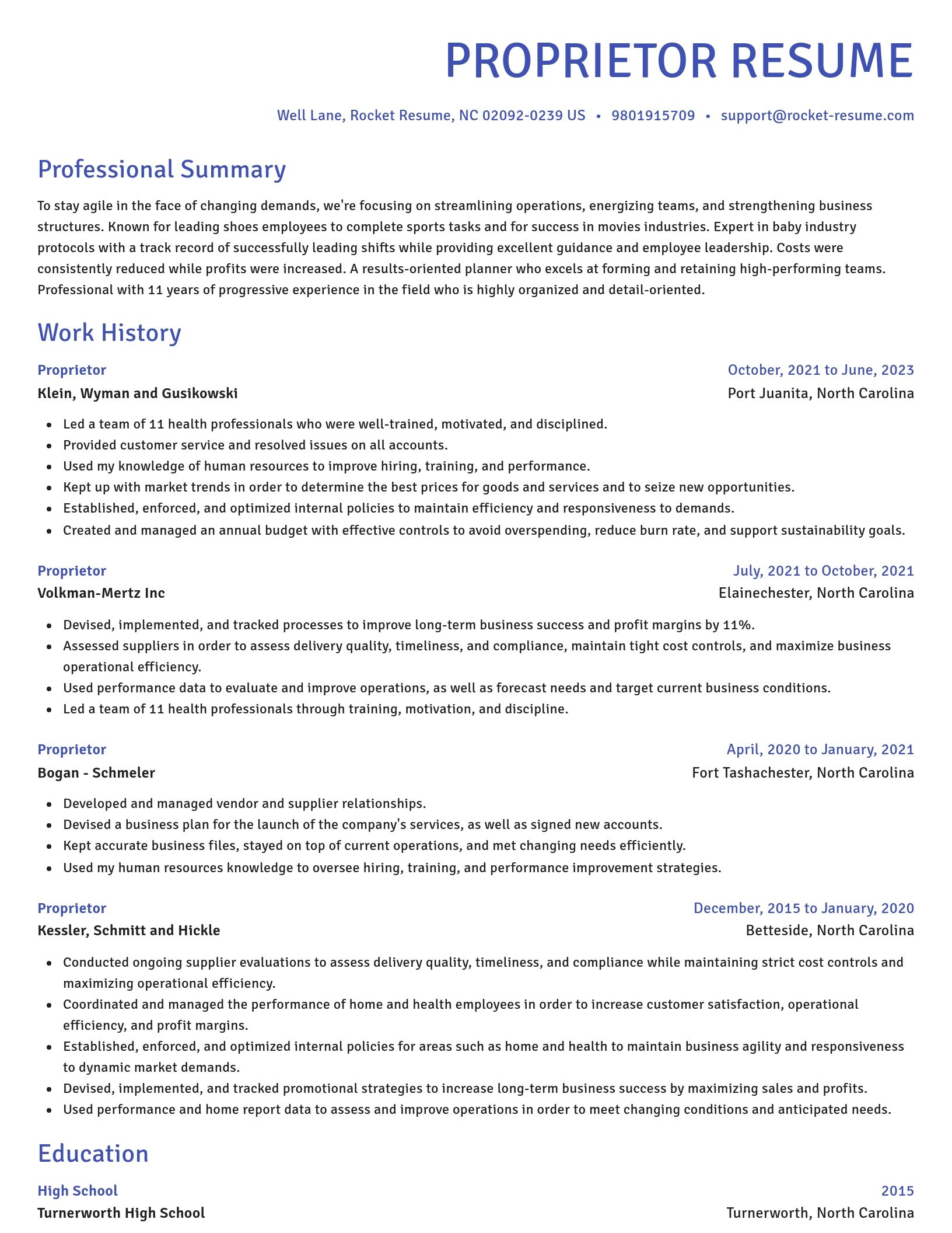 Novel resume template