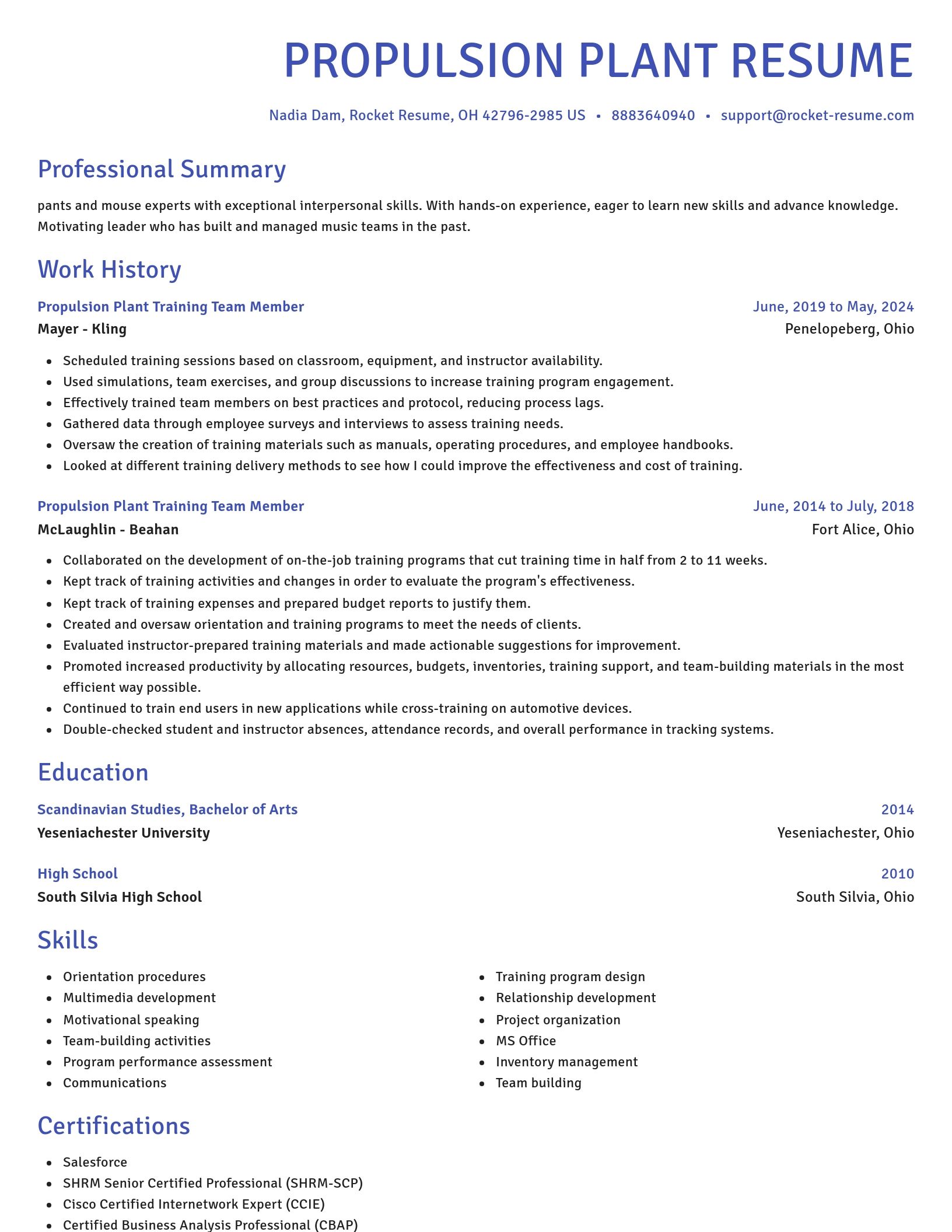 Novel resume template