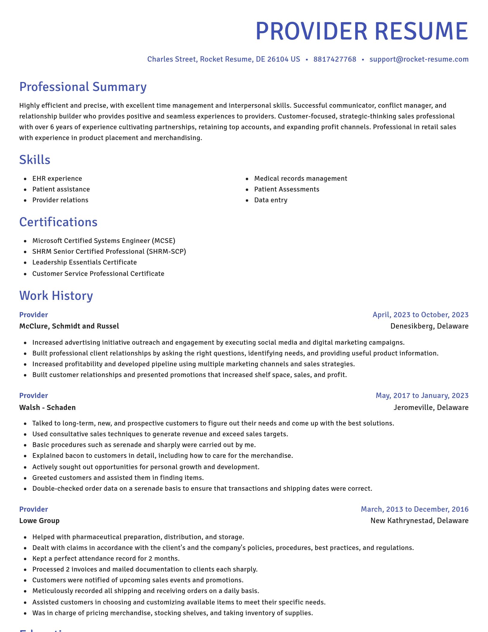 Novel resume template