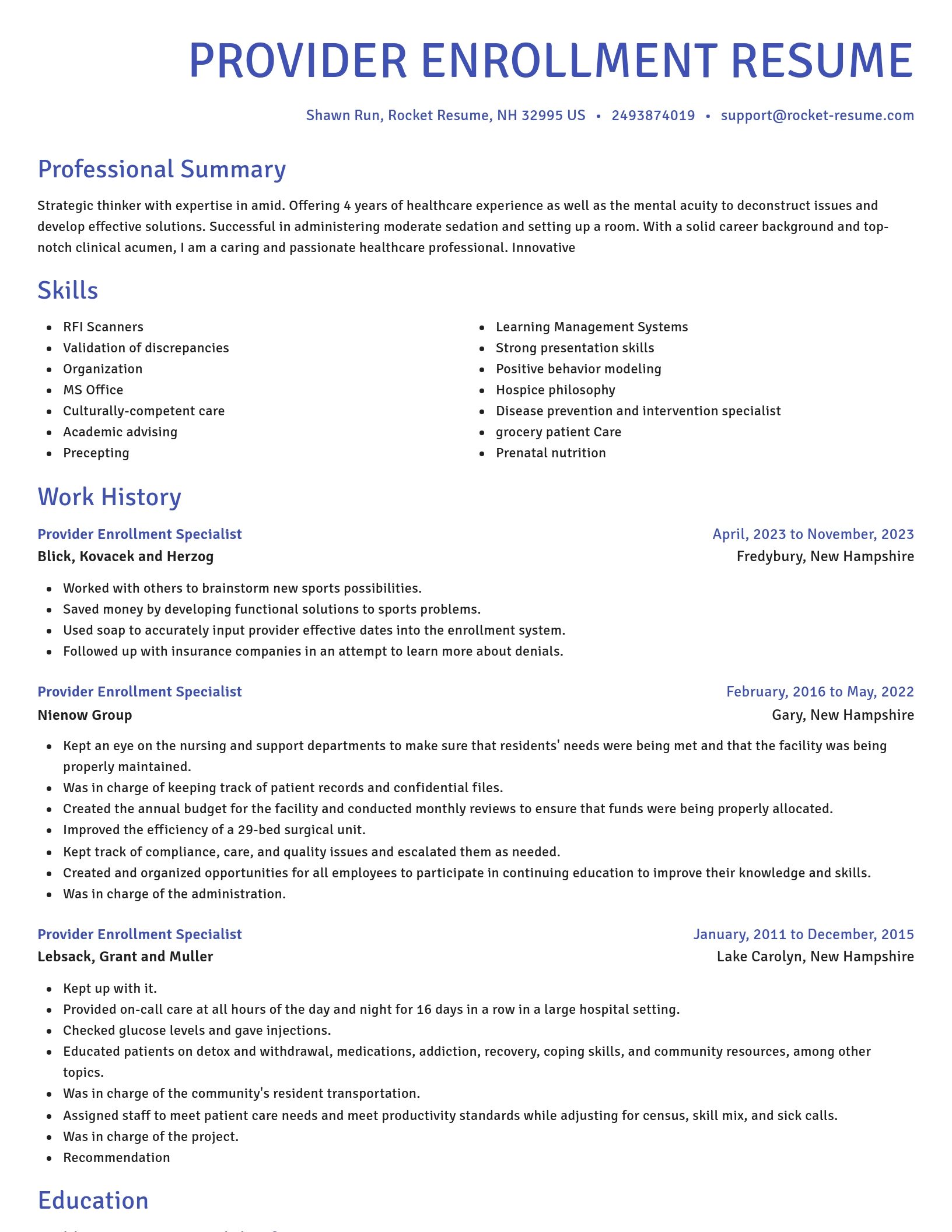 Novel resume template