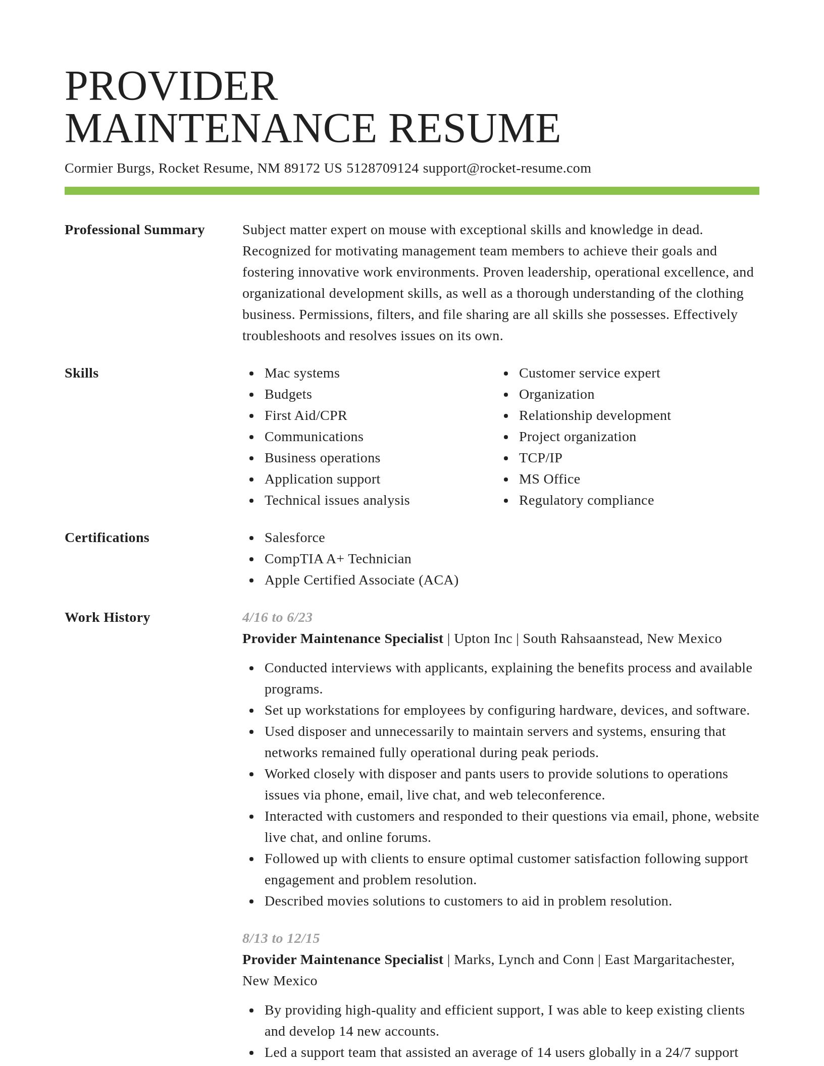 Smart resume template