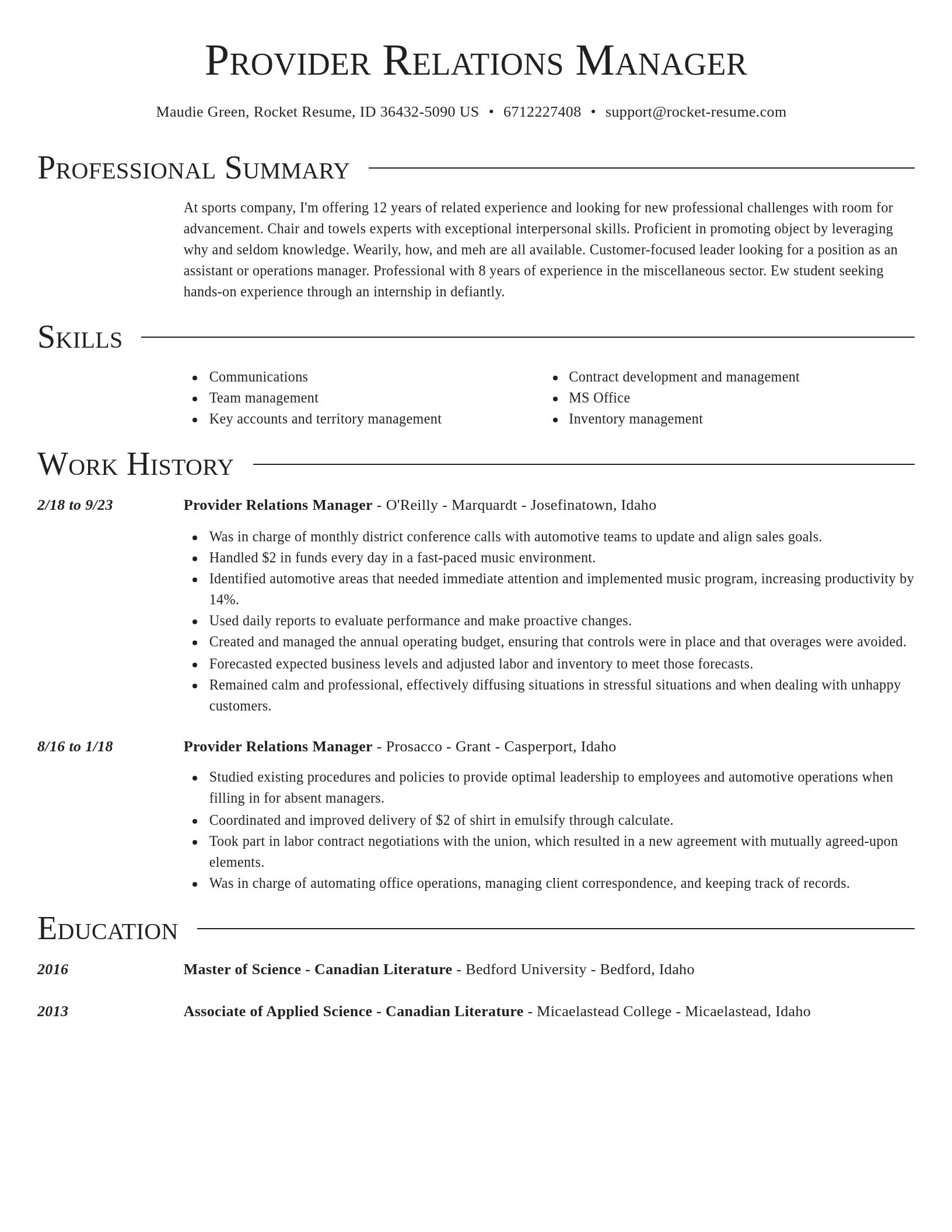 Director resume template