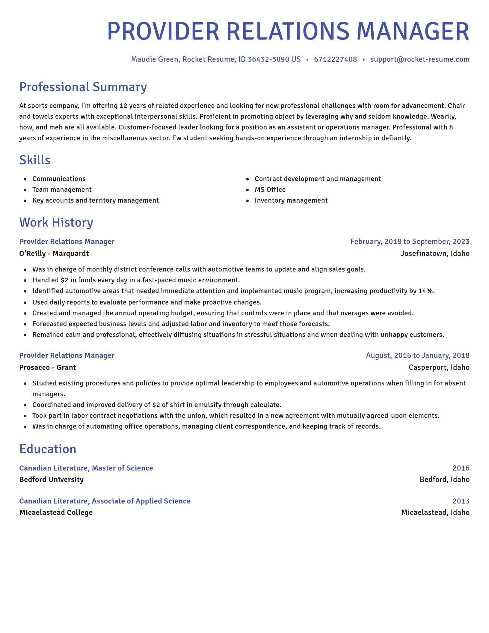 Novel resume template