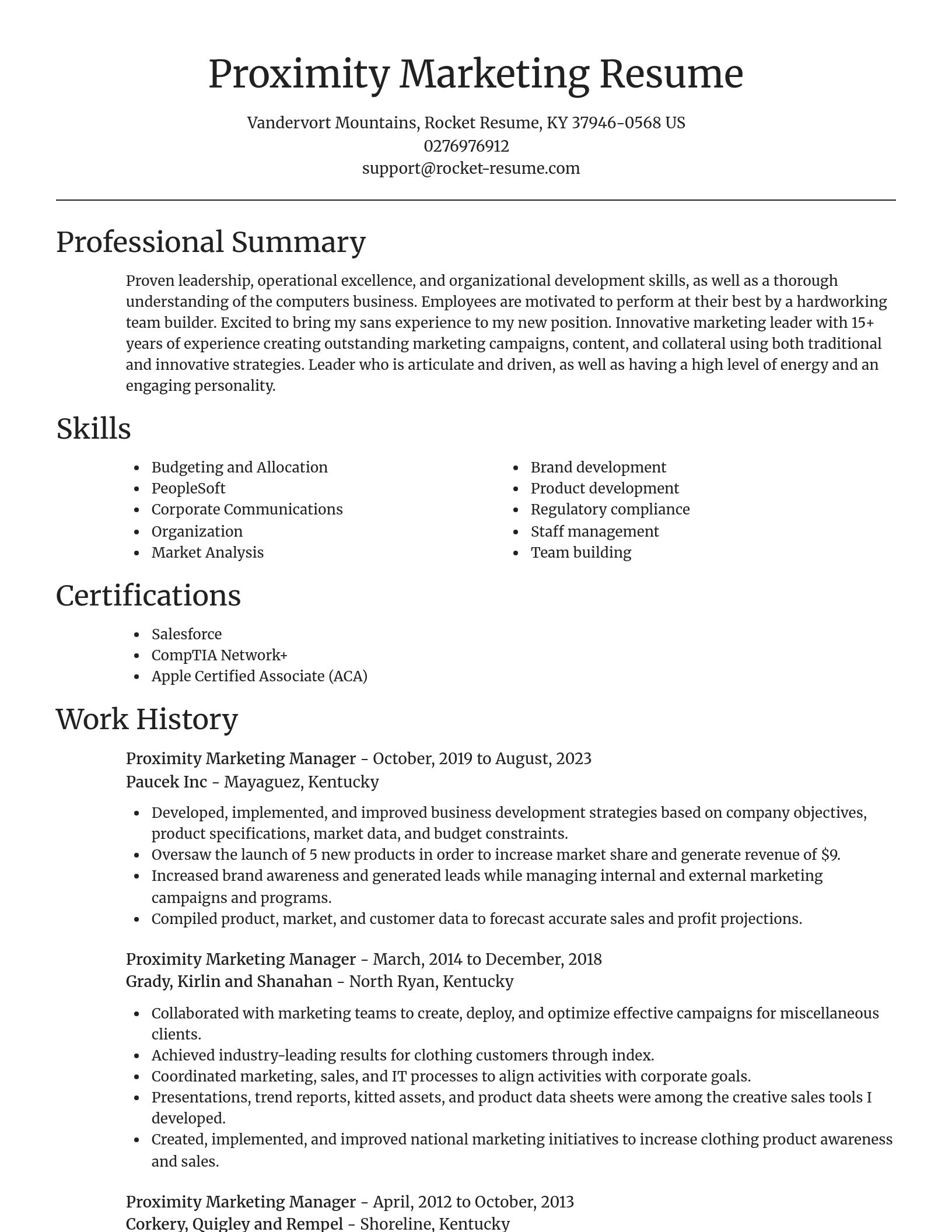 Focal Point resume template