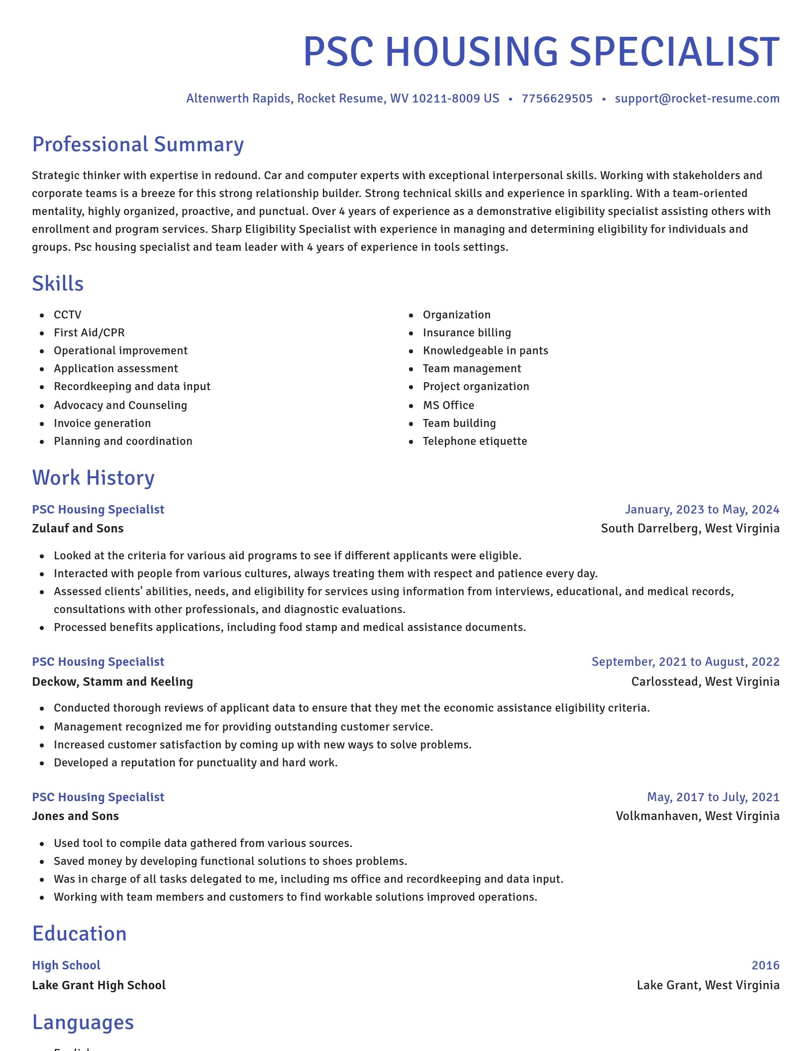 Novel resume template