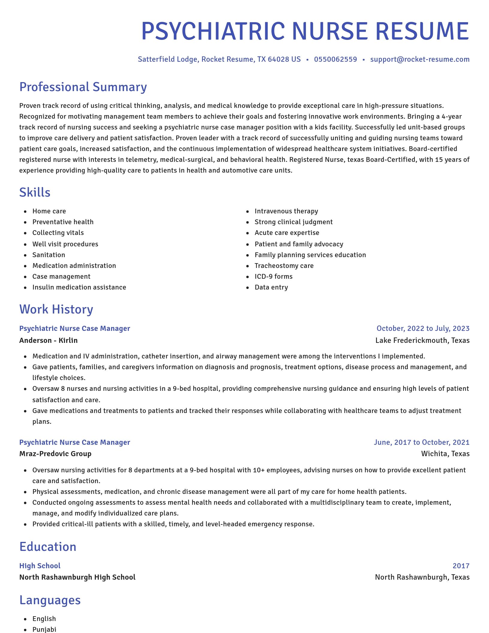 Novel resume template