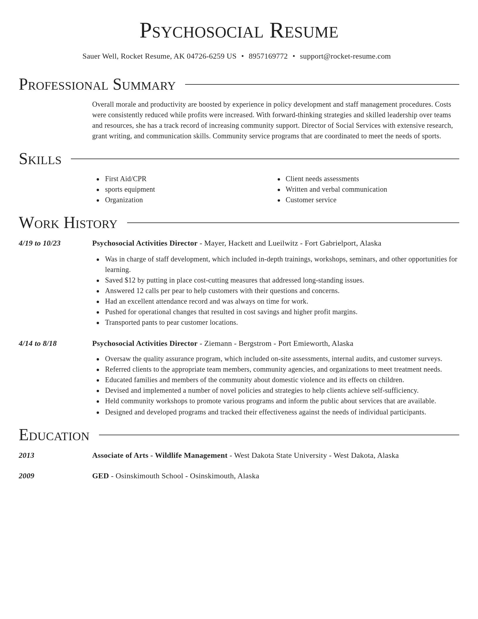 Director resume template