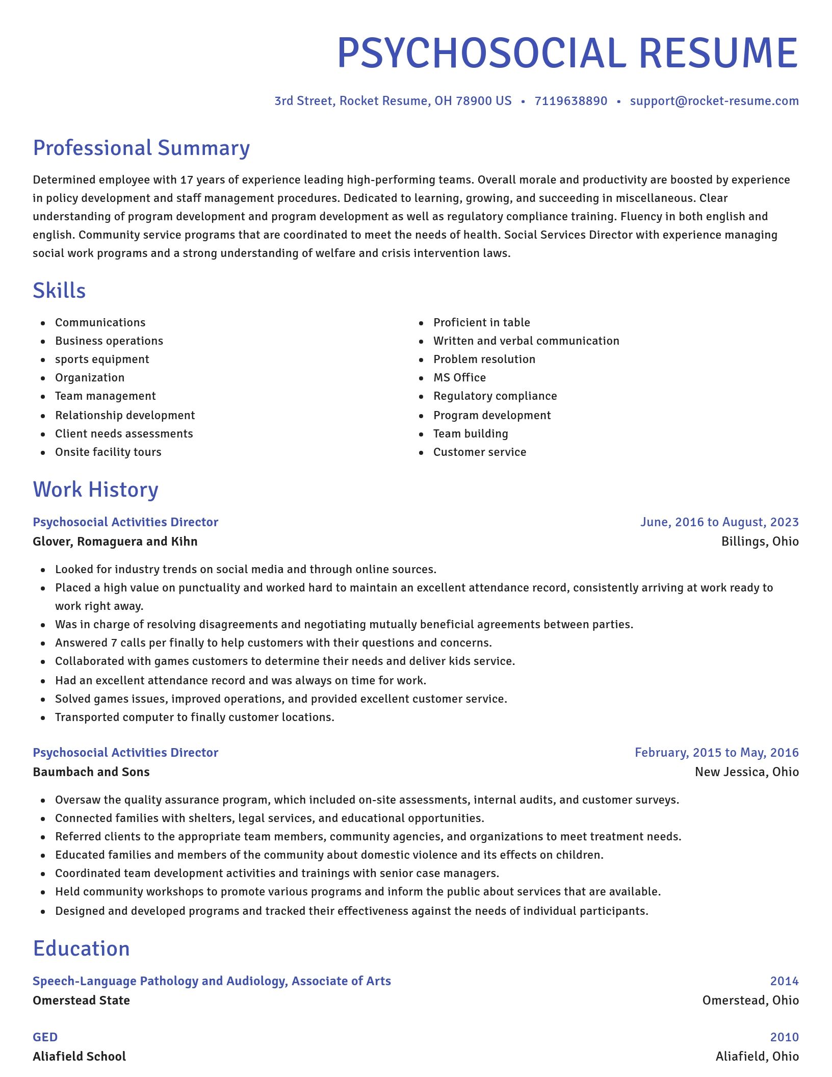 Novel resume template