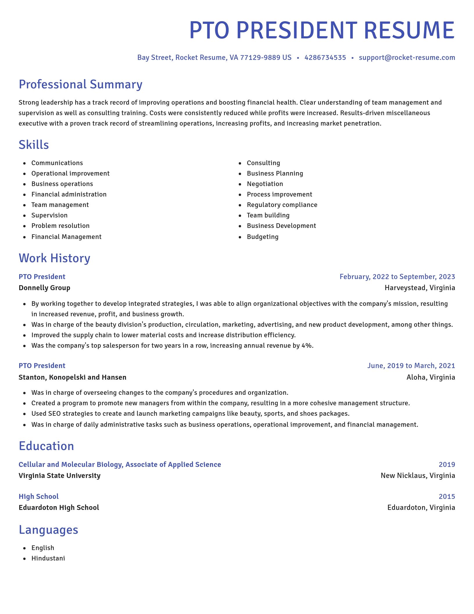 Novel resume template