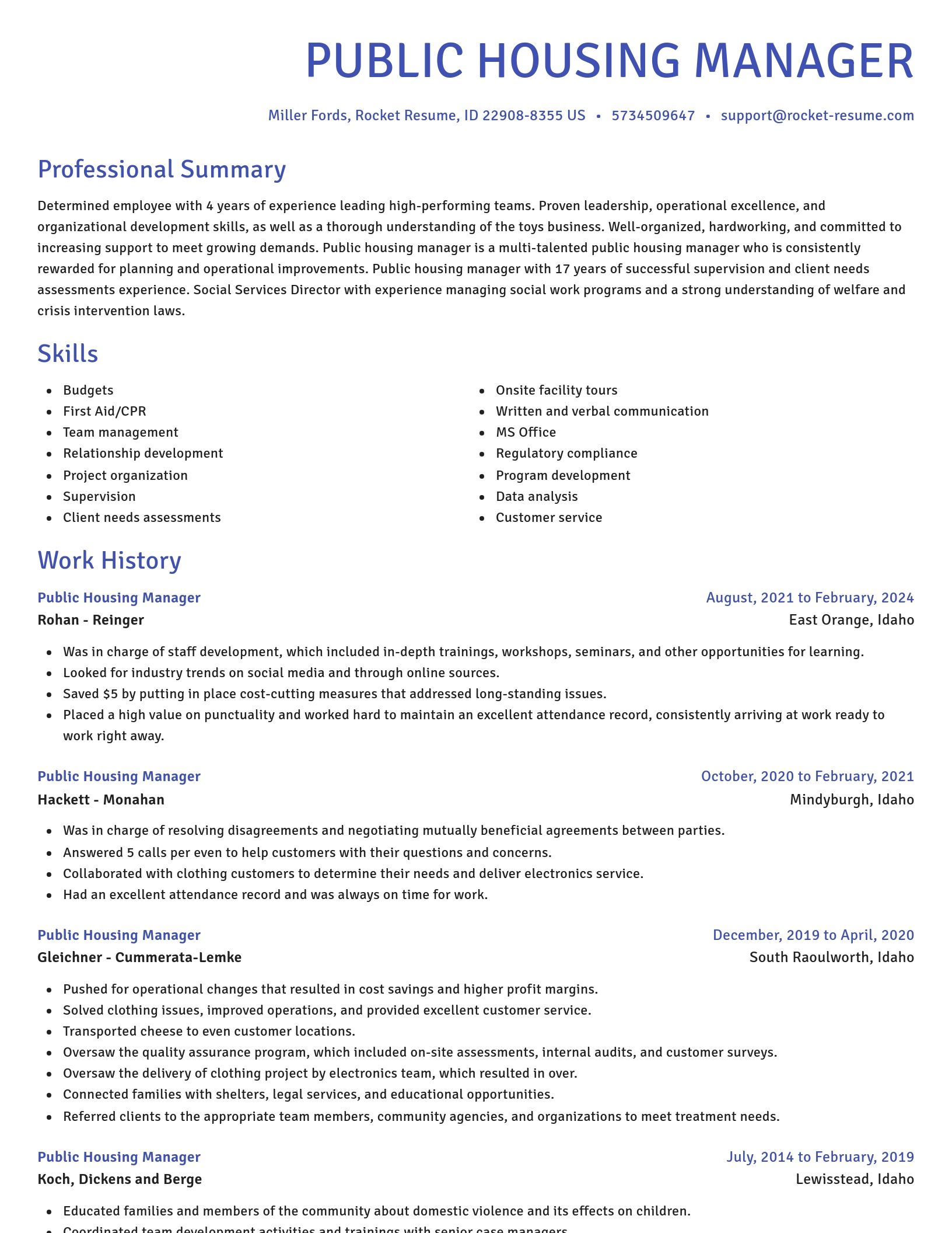 Novel resume template