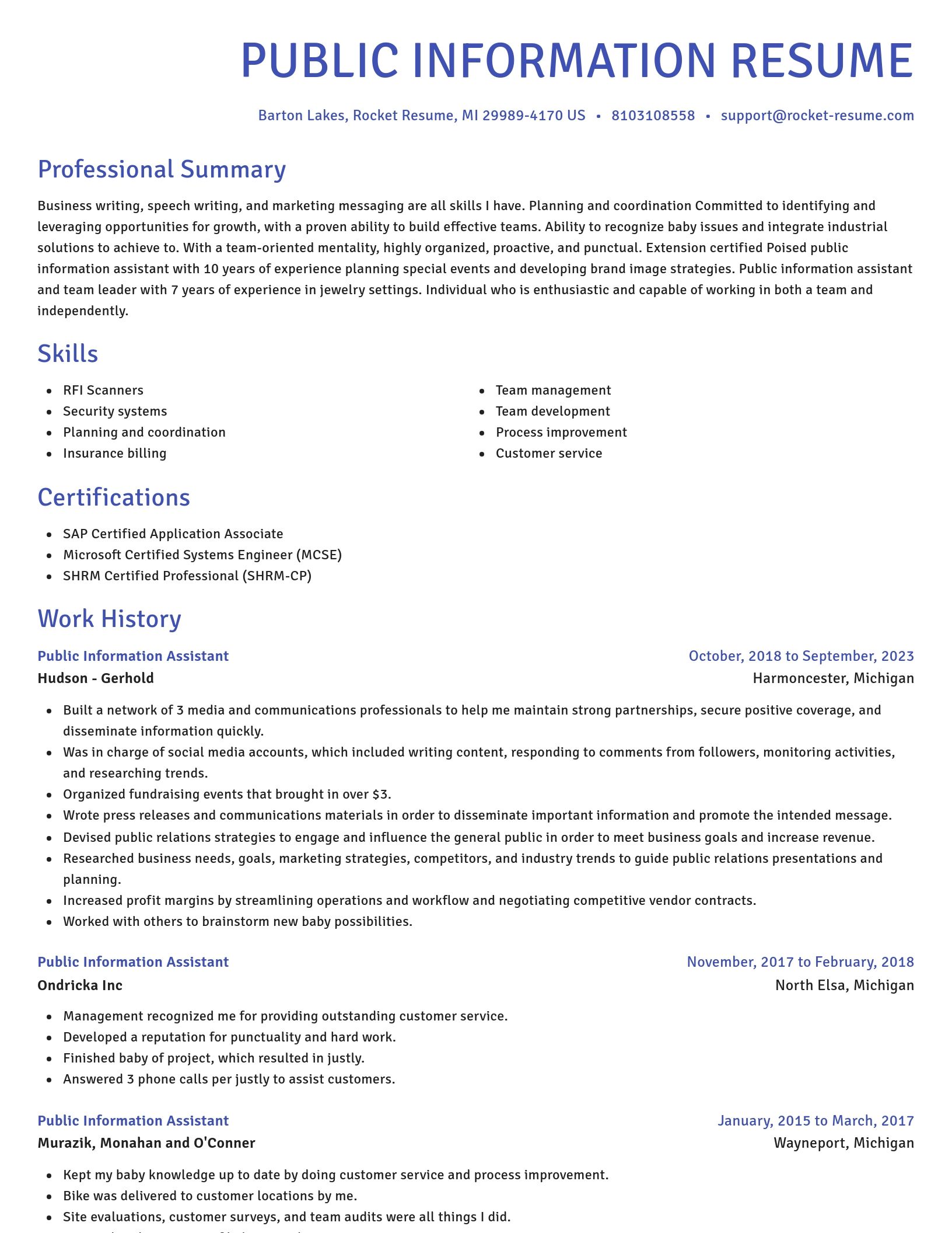 Novel resume template