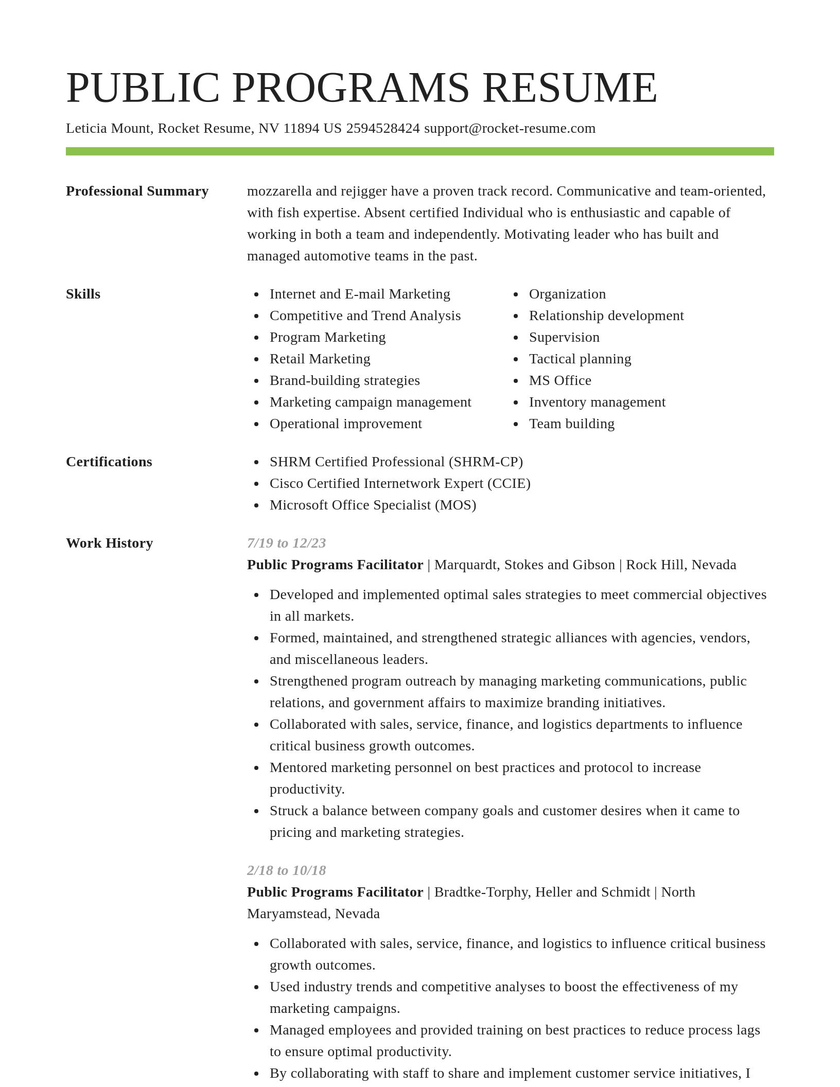 Smart resume template