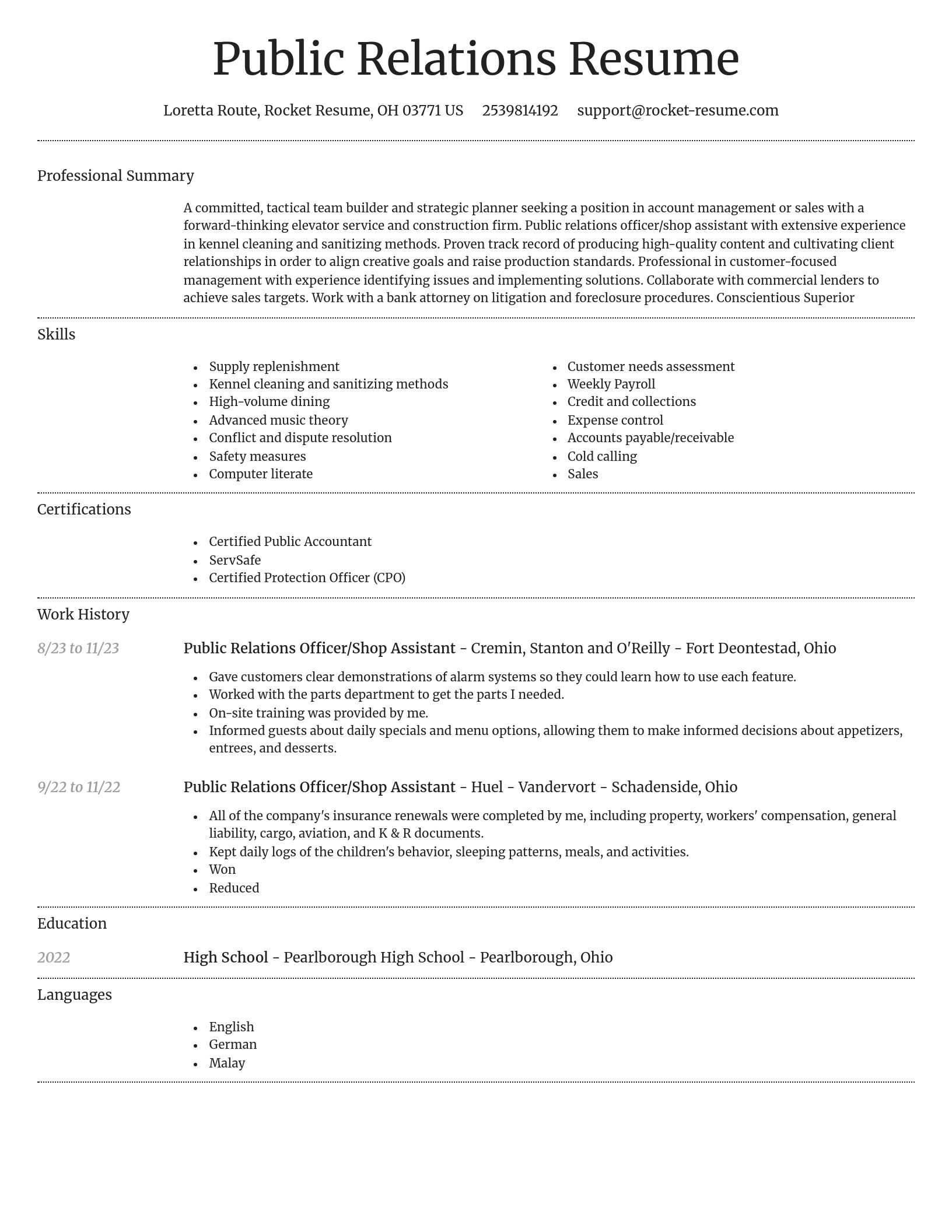 Dignified resume template