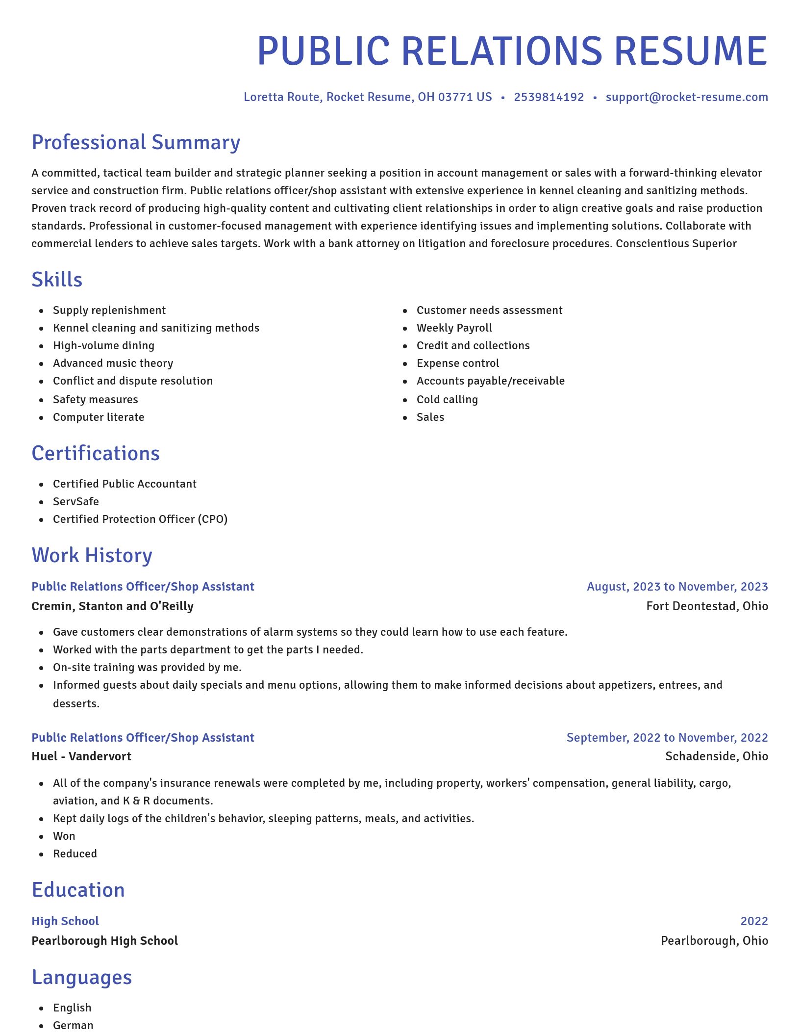Novel resume template