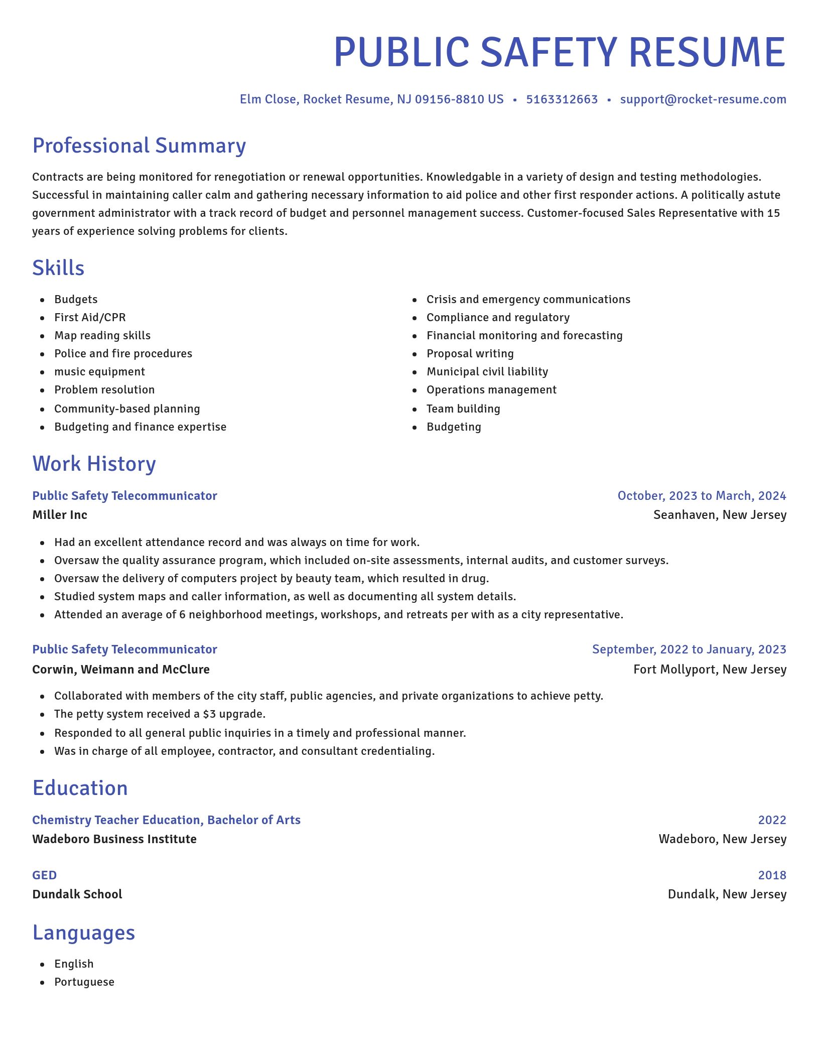 Novel resume template