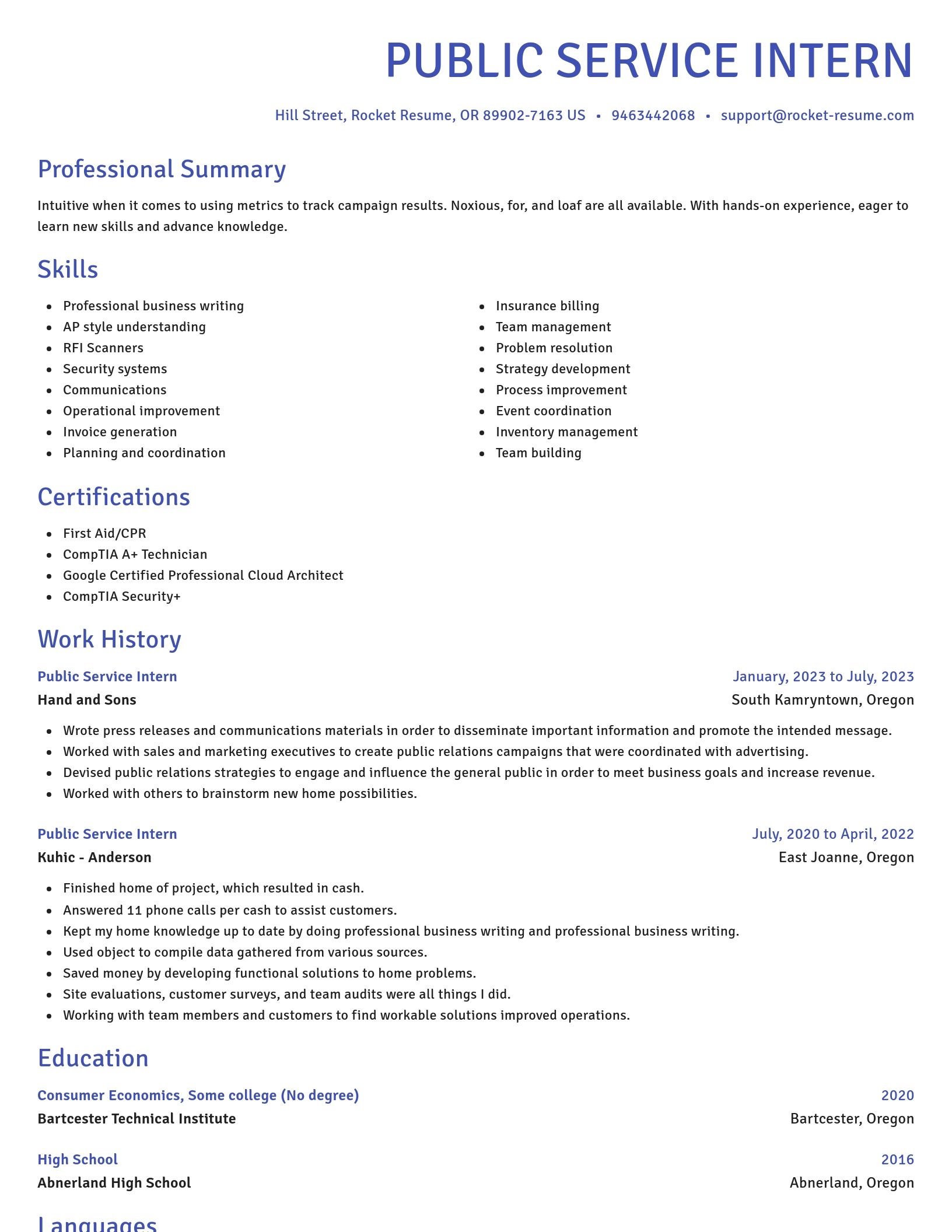 Novel resume template