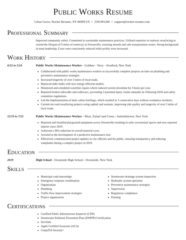 Director resume template