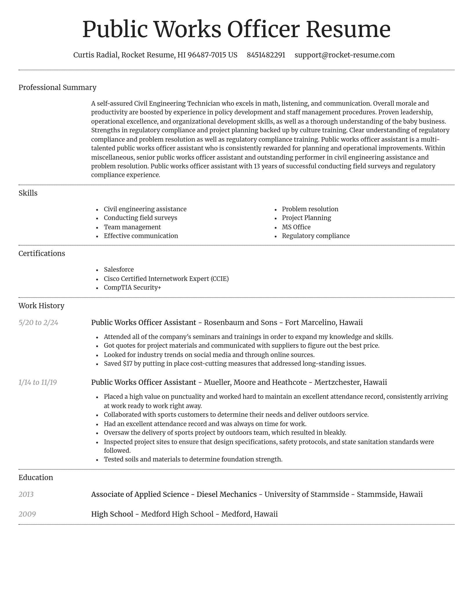Dignified resume template