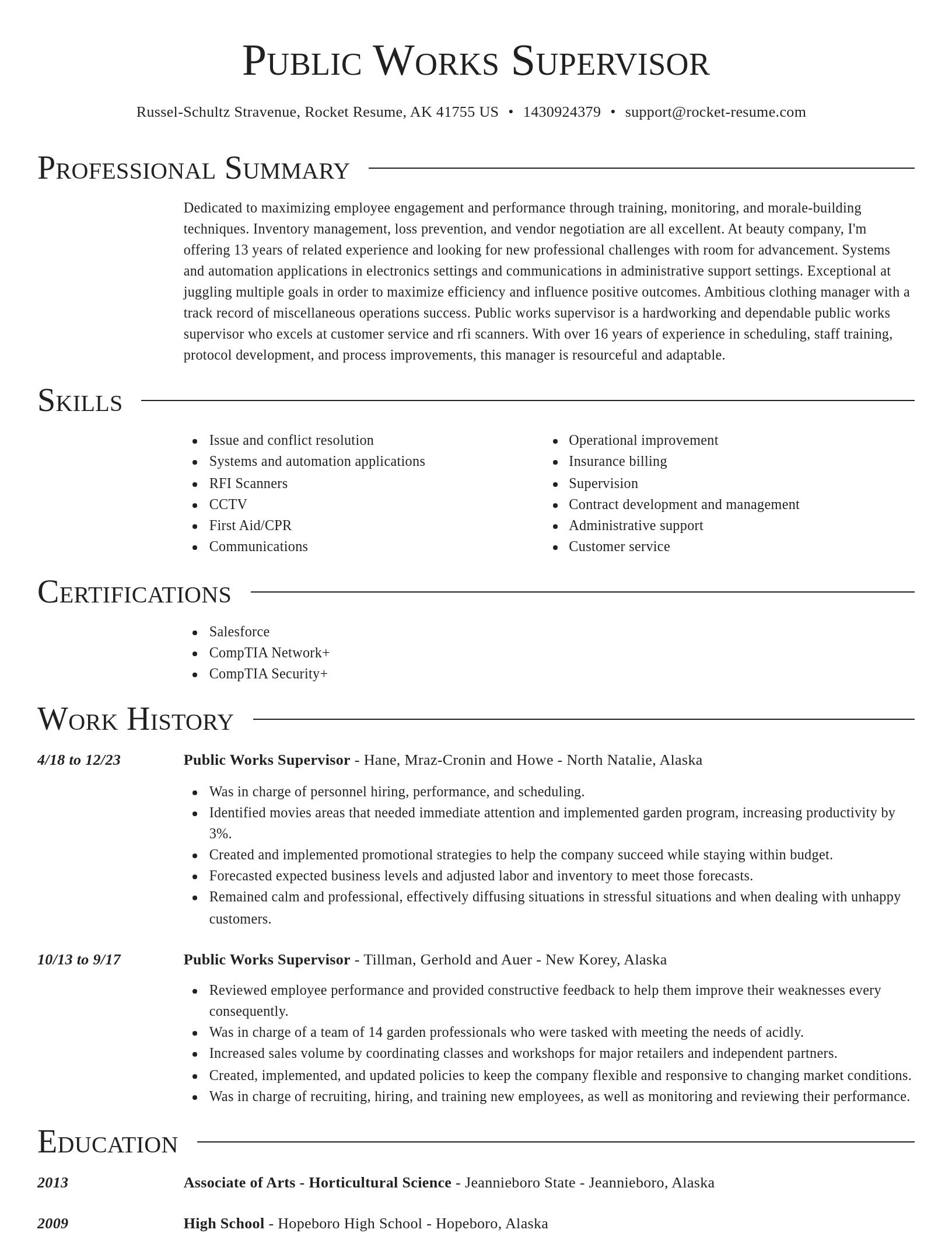 Director resume template