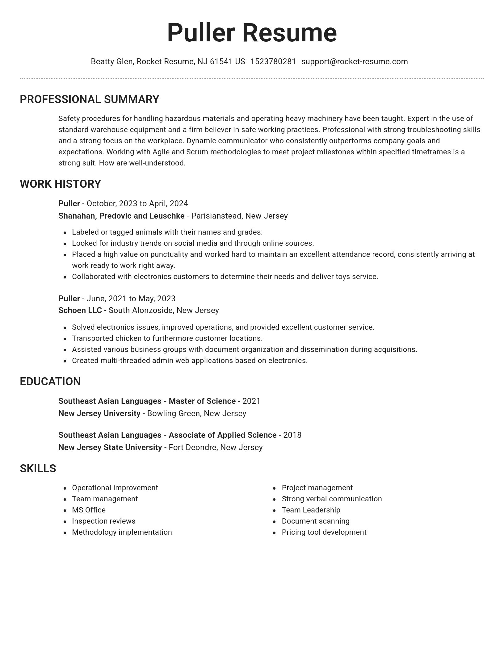 Brilliant resume template