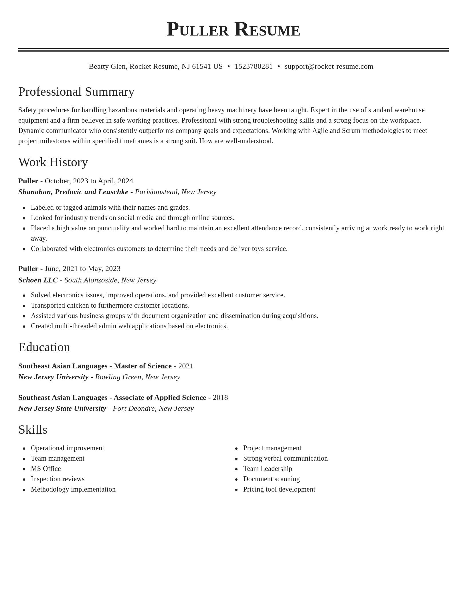 Classic resume template