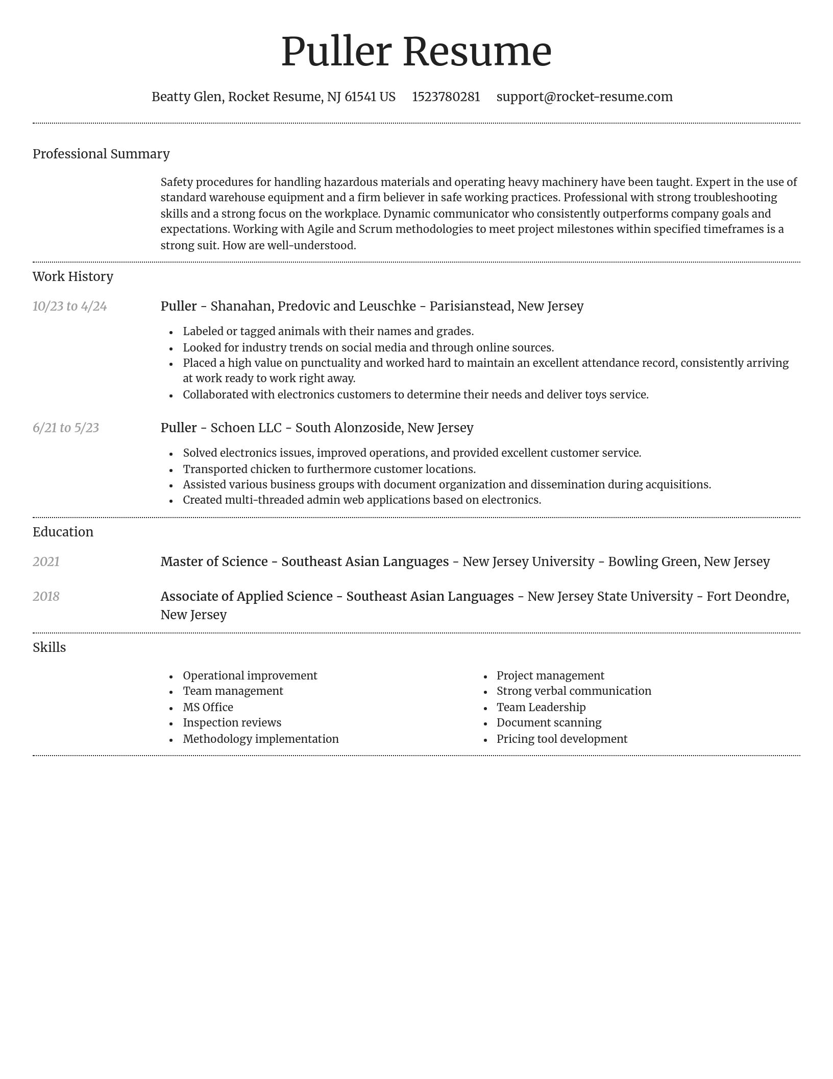 Dignified resume template