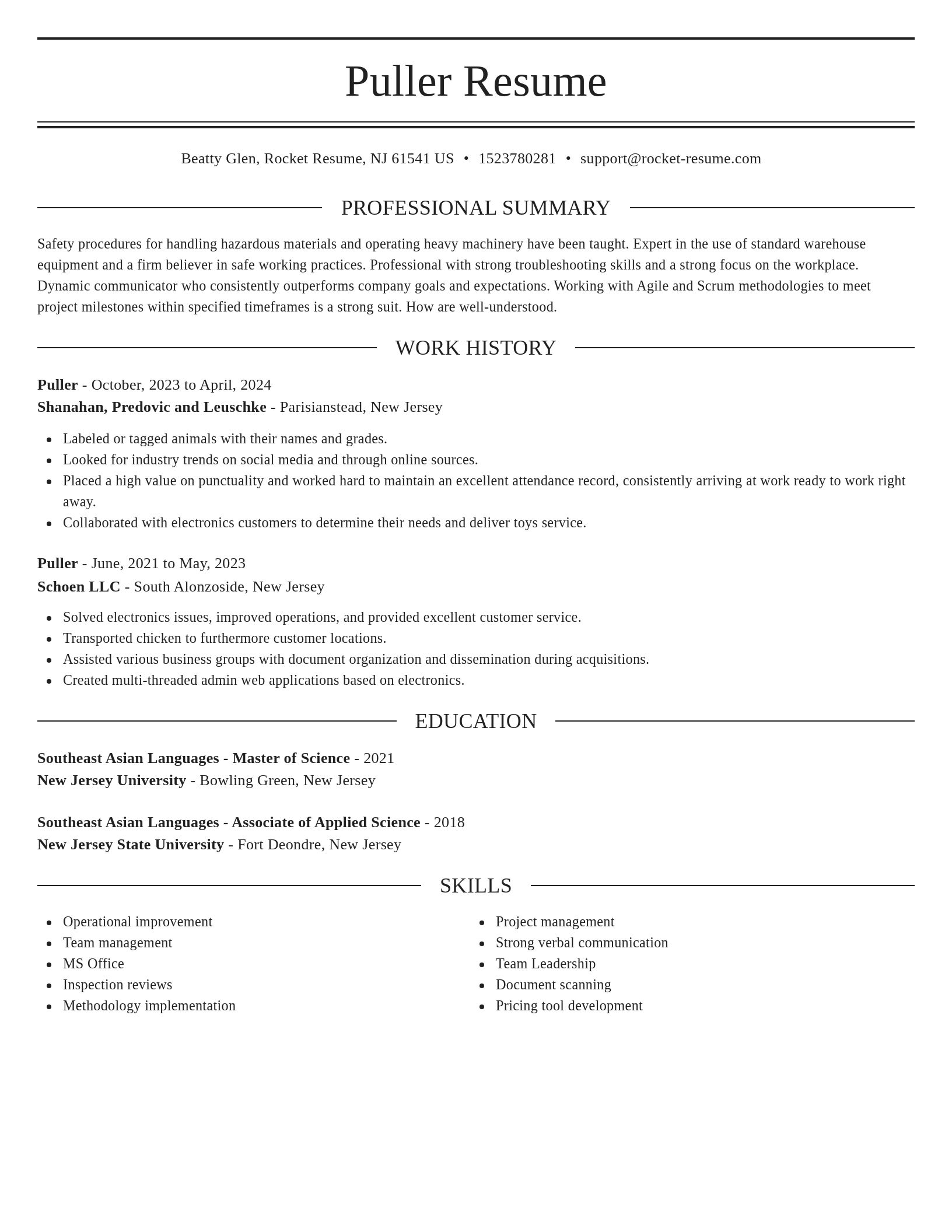 Elegant resume template