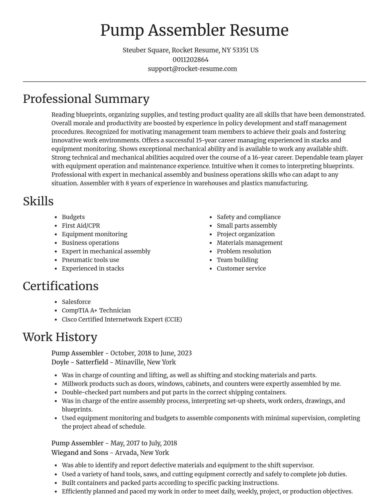Focal Point resume template