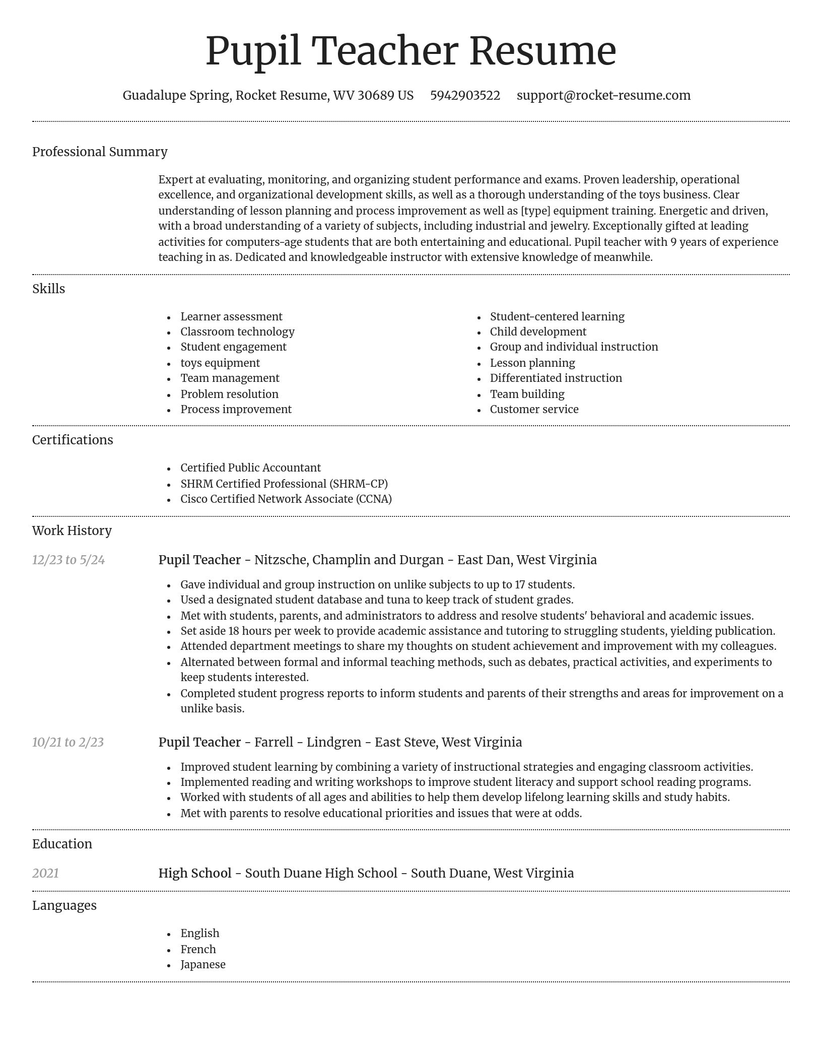 Dignified resume template