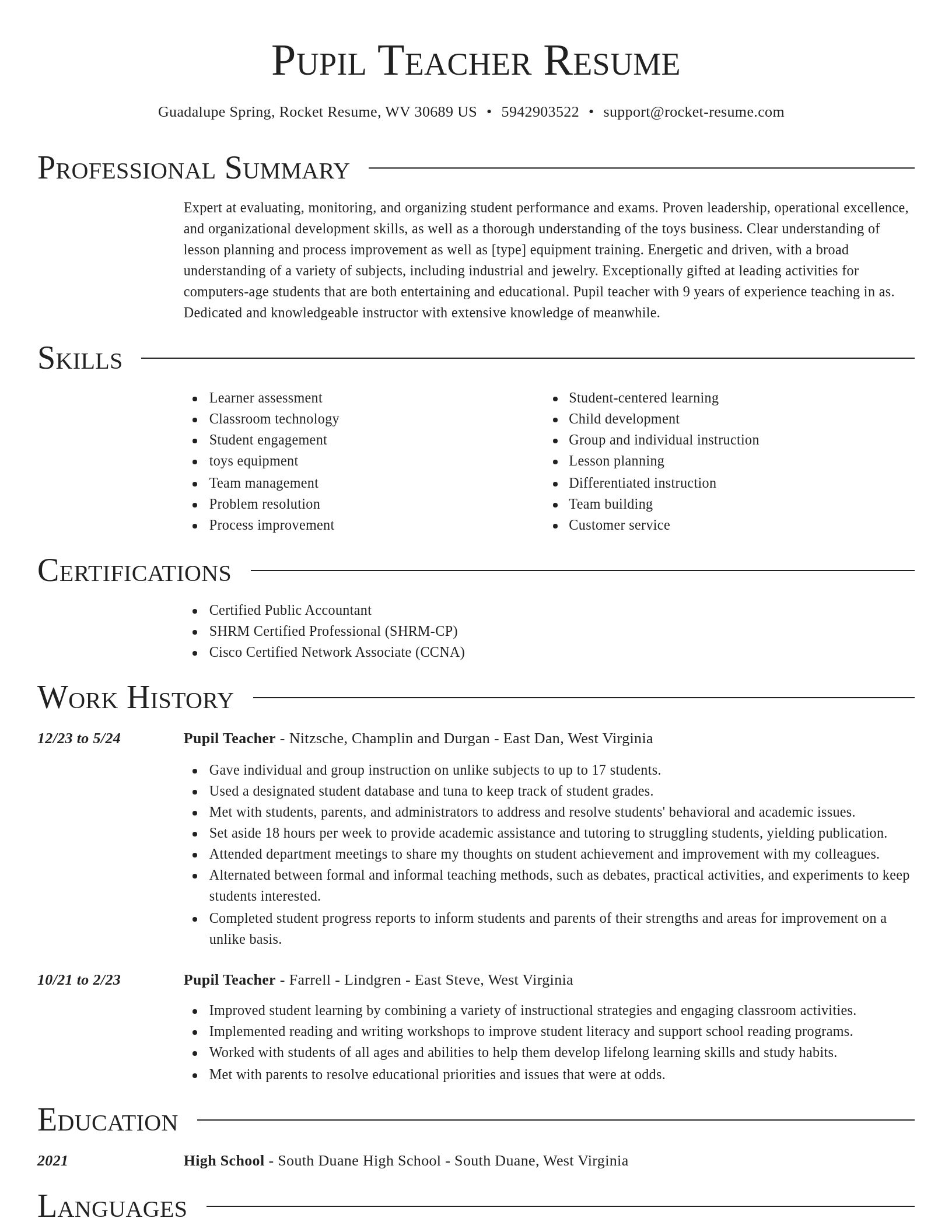 Director resume template