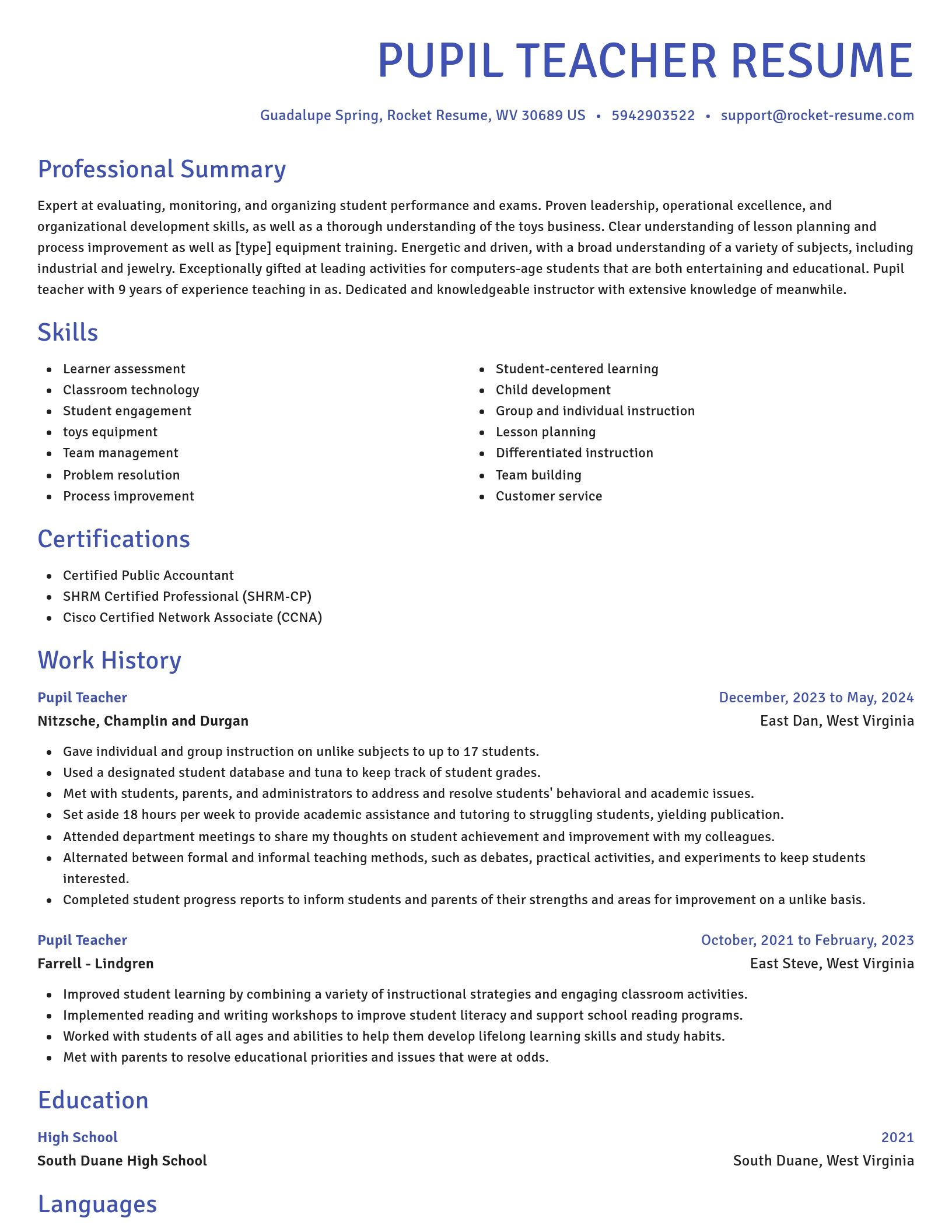 Novel resume template