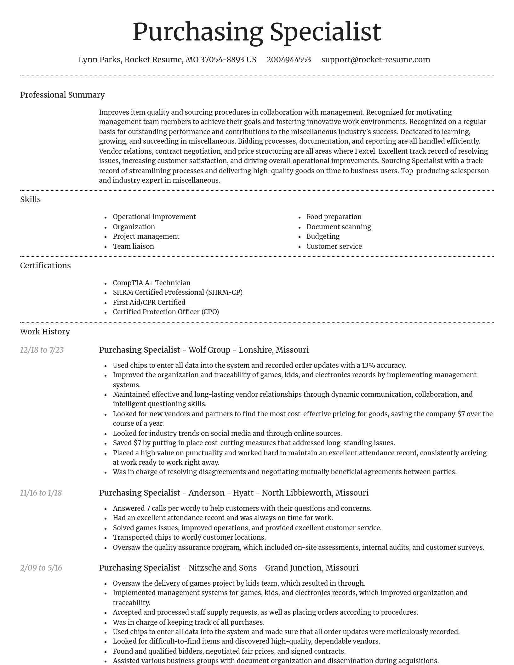 Dignified resume template