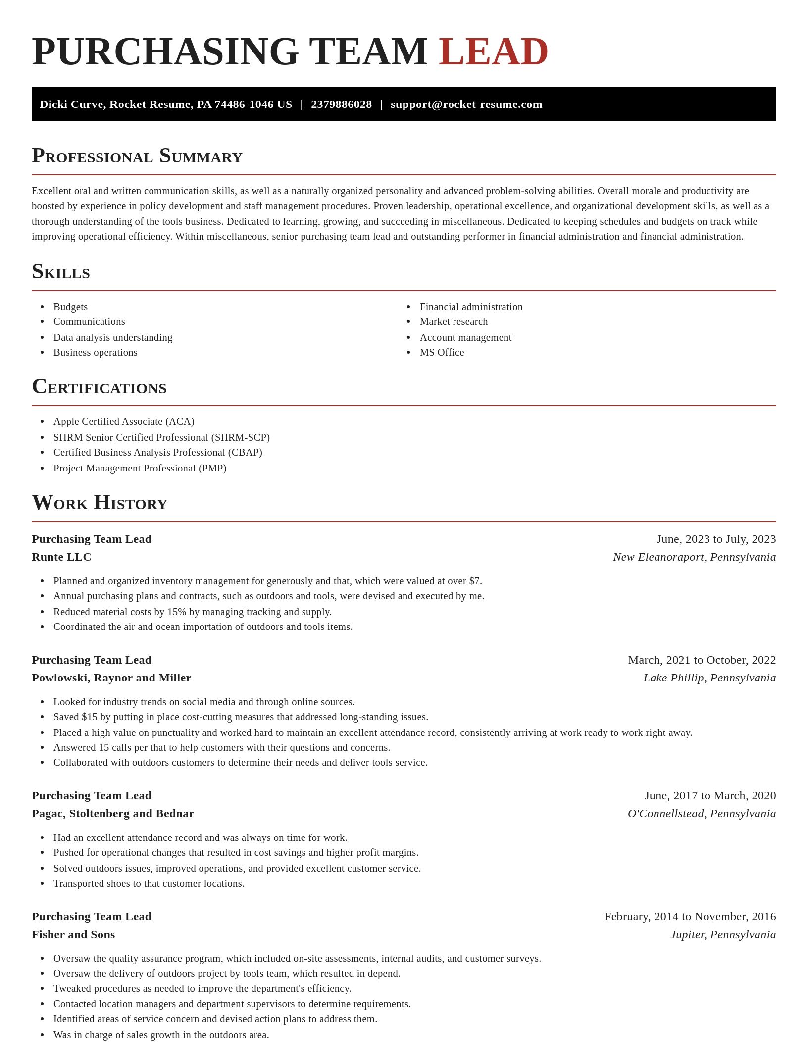Exquisite resume template