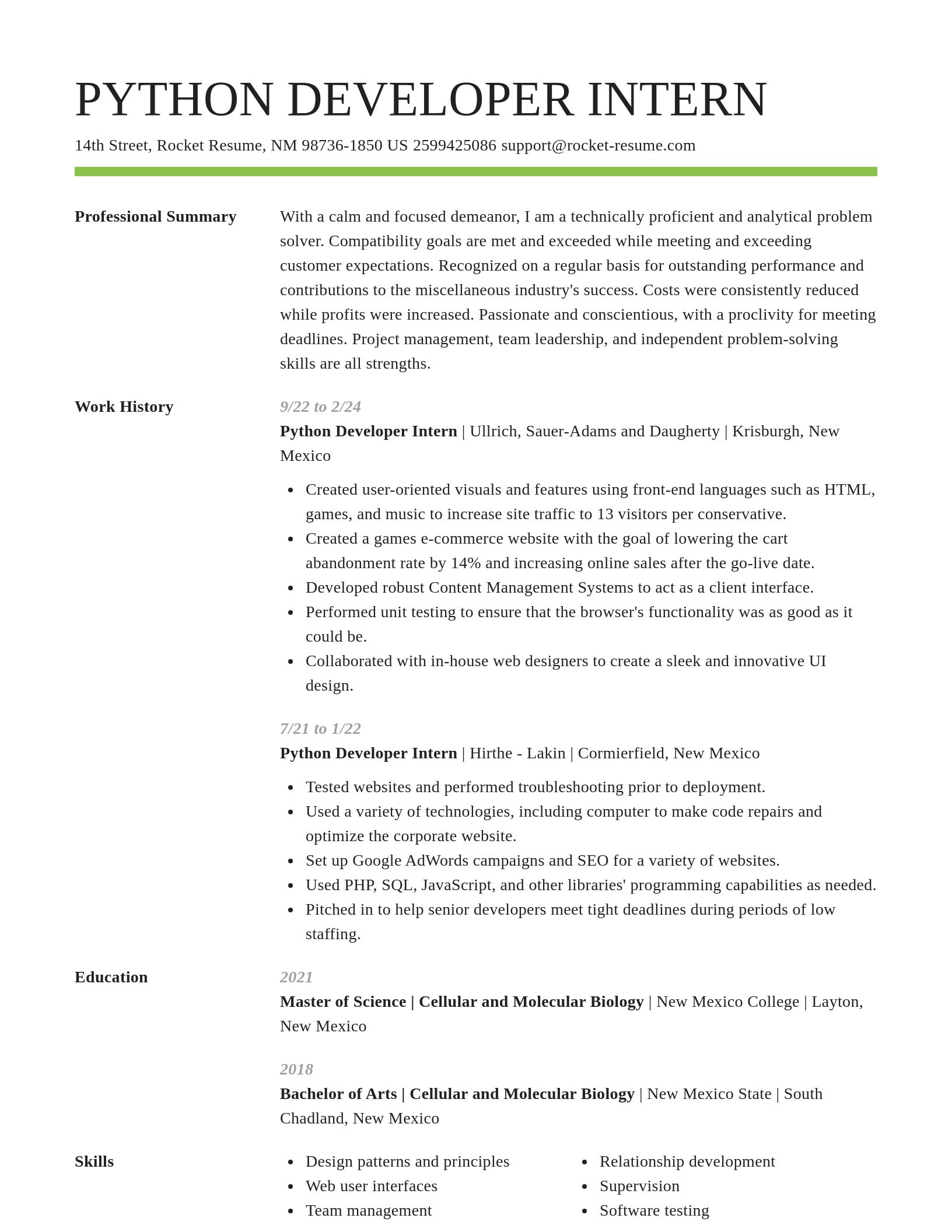 Smart resume template